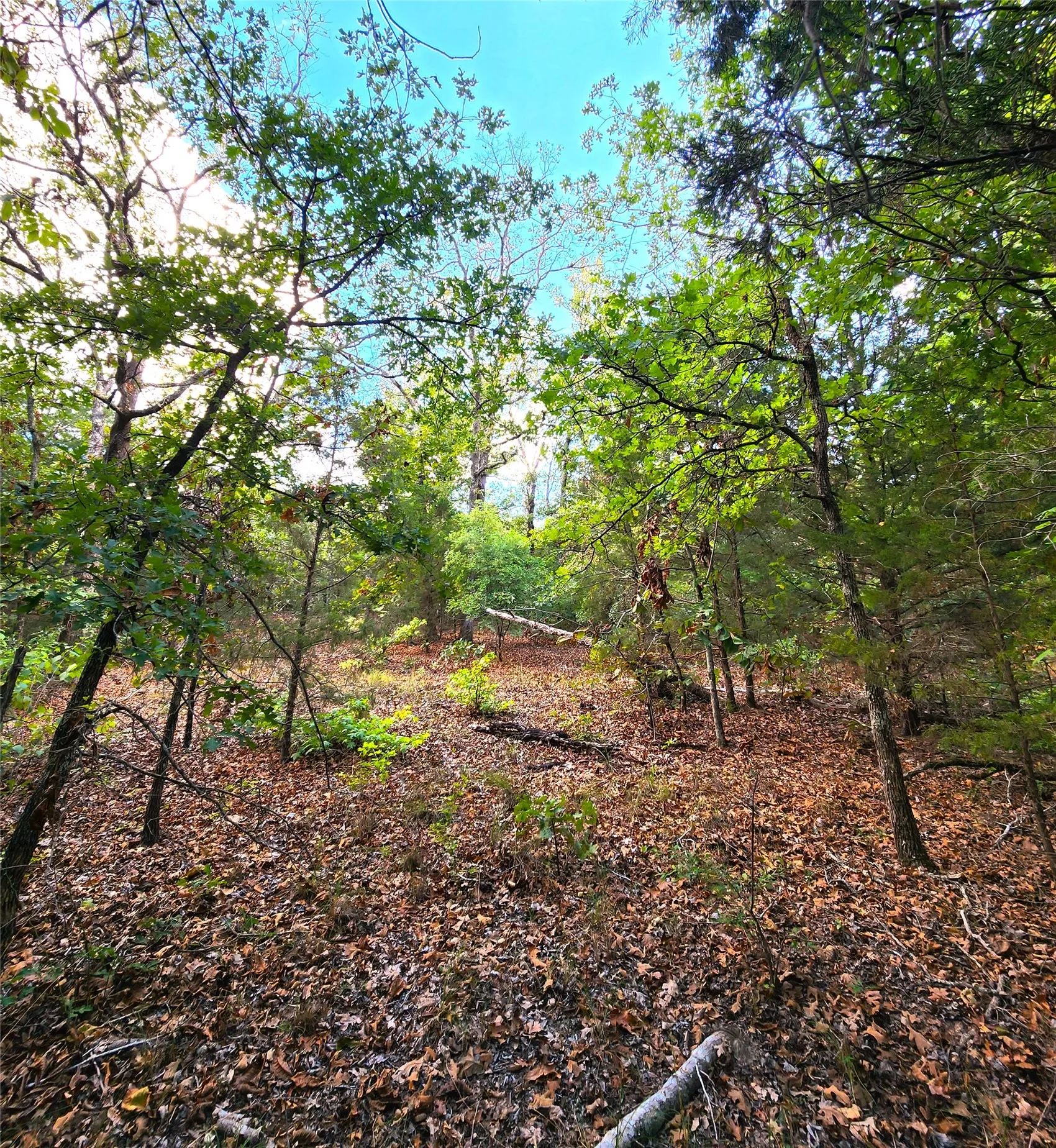 Improved Land For Sale in Henderson County , Lot 465 CR-4710, Larue, Texas 75770, 0, 0, Garage spaces, 0 Sqft, built in 0, Price $90,000, mls#21308440, Real Estate Agent in Larue, Homes For Sale in Henderson county, Homes For Sale in Larue, Realtor in Larue Texas, Real Estate Brokerage Independent Realty Texas, Luminita Cordes Realtor