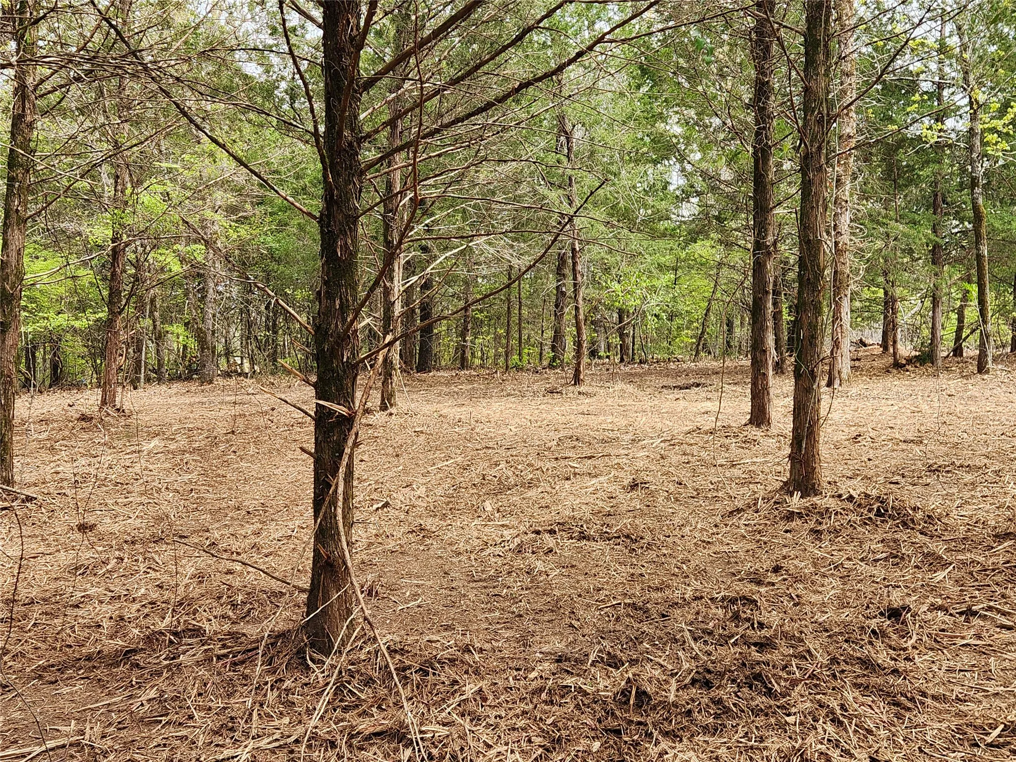Improved Land For Sale in Henderson County , Lot 465 CR-4710, Larue, Texas 75770, 0, 0, Garage spaces, 0 Sqft, built in 0, Price $90,000, mls#21308440, Real Estate Agent in Larue, Homes For Sale in Henderson county, Homes For Sale in Larue, Realtor in Larue Texas, Real Estate Brokerage Independent Realty Texas, Luminita Cordes Realtor