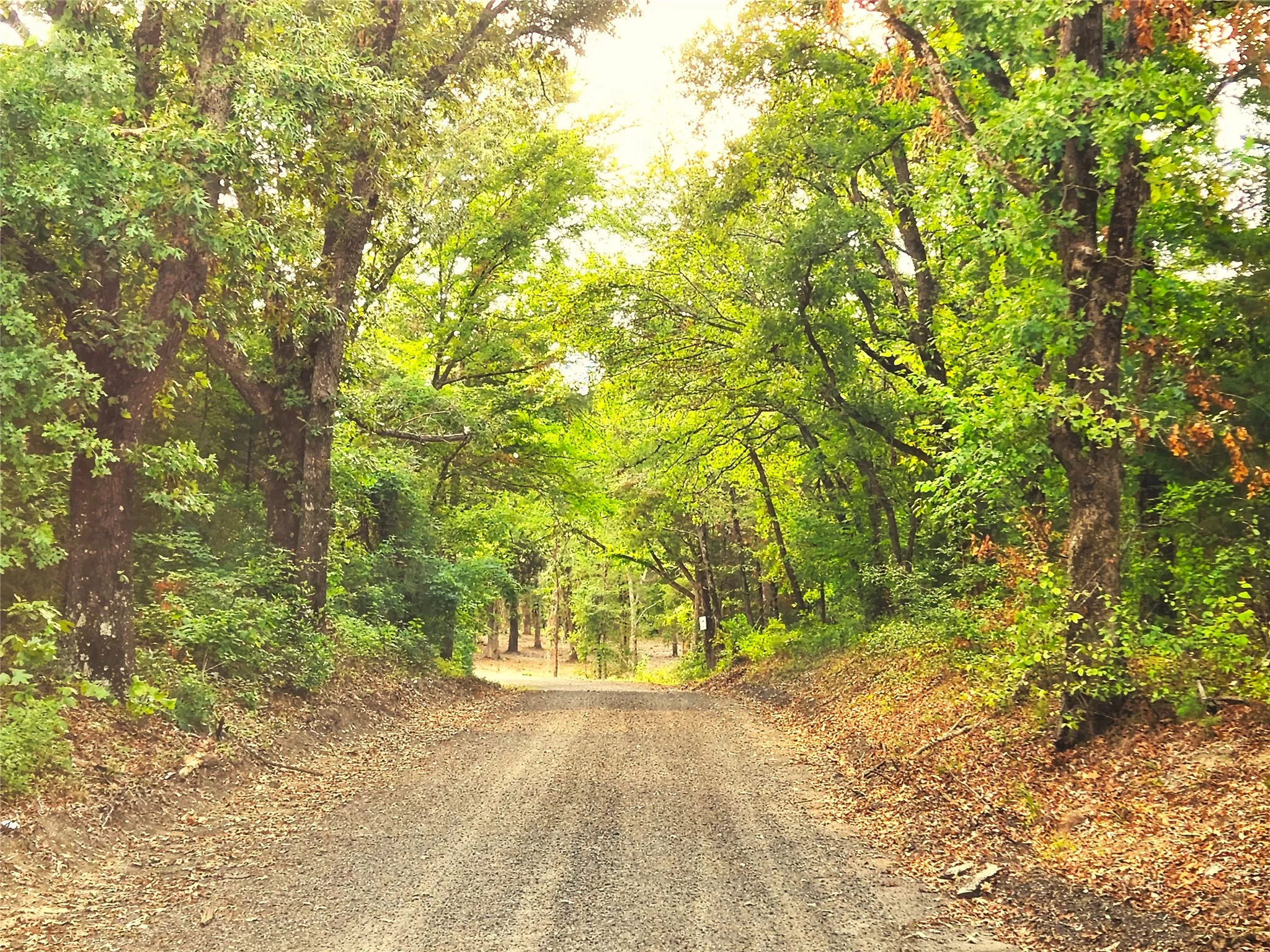 Improved Land For Sale in Henderson County , Lot 465 CR-4710, Larue, Texas 75770, 0, 0, Garage spaces, 0 Sqft, built in 0, Price $90,000, mls#21308440, Real Estate Agent in Larue, Homes For Sale in Henderson county, Homes For Sale in Larue, Realtor in Larue Texas, Real Estate Brokerage Independent Realty Texas, Luminita Cordes Realtor