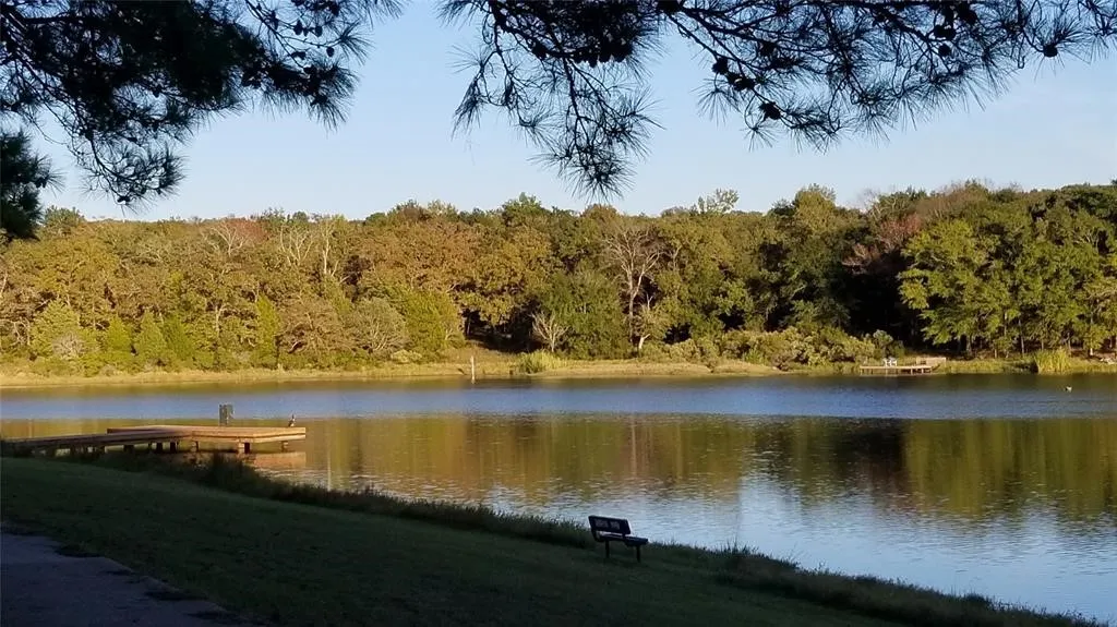 Improved Land For Sale in Henderson County , Lot 465 CR-4710, Larue, Texas 75770, 0, 0, Garage spaces, 0 Sqft, built in 0, Price $90,000, mls#21308440, Real Estate Agent in Larue, Homes For Sale in Henderson county, Homes For Sale in Larue, Realtor in Larue Texas, Real Estate Brokerage Independent Realty Texas, Luminita Cordes Realtor