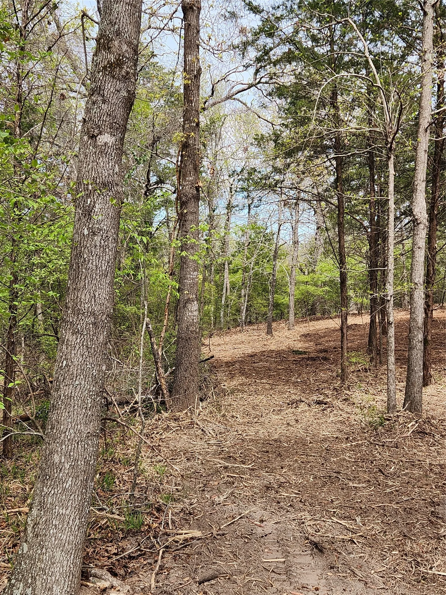 Improved Land For Sale in Henderson County , Lot 465 CR-4710, Larue, Texas 75770, 0, 0, Garage spaces, 0 Sqft, built in 0, Price $90,000, mls#21308440, Real Estate Agent in Larue, Homes For Sale in Henderson county, Homes For Sale in Larue, Realtor in Larue Texas, Real Estate Brokerage Independent Realty Texas, Luminita Cordes Realtor