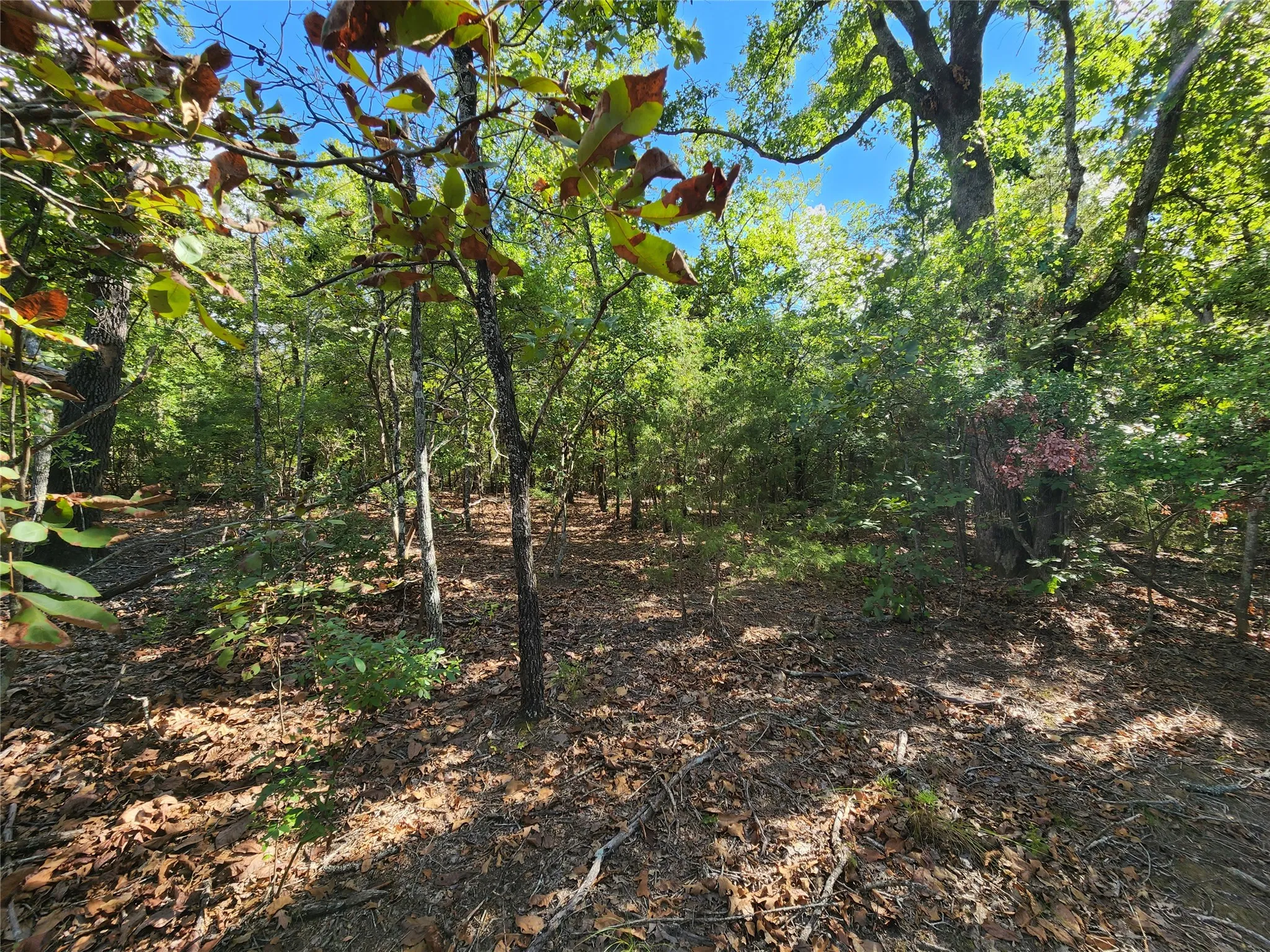 Improved Land For Sale in Henderson County , Lot 465 CR-4710, Larue, Texas 75770, 0, 0, Garage spaces, 0 Sqft, built in 0, Price $90,000, mls#21308440, Real Estate Agent in Larue, Homes For Sale in Henderson county, Homes For Sale in Larue, Realtor in Larue Texas, Real Estate Brokerage Independent Realty Texas, Luminita Cordes Realtor
