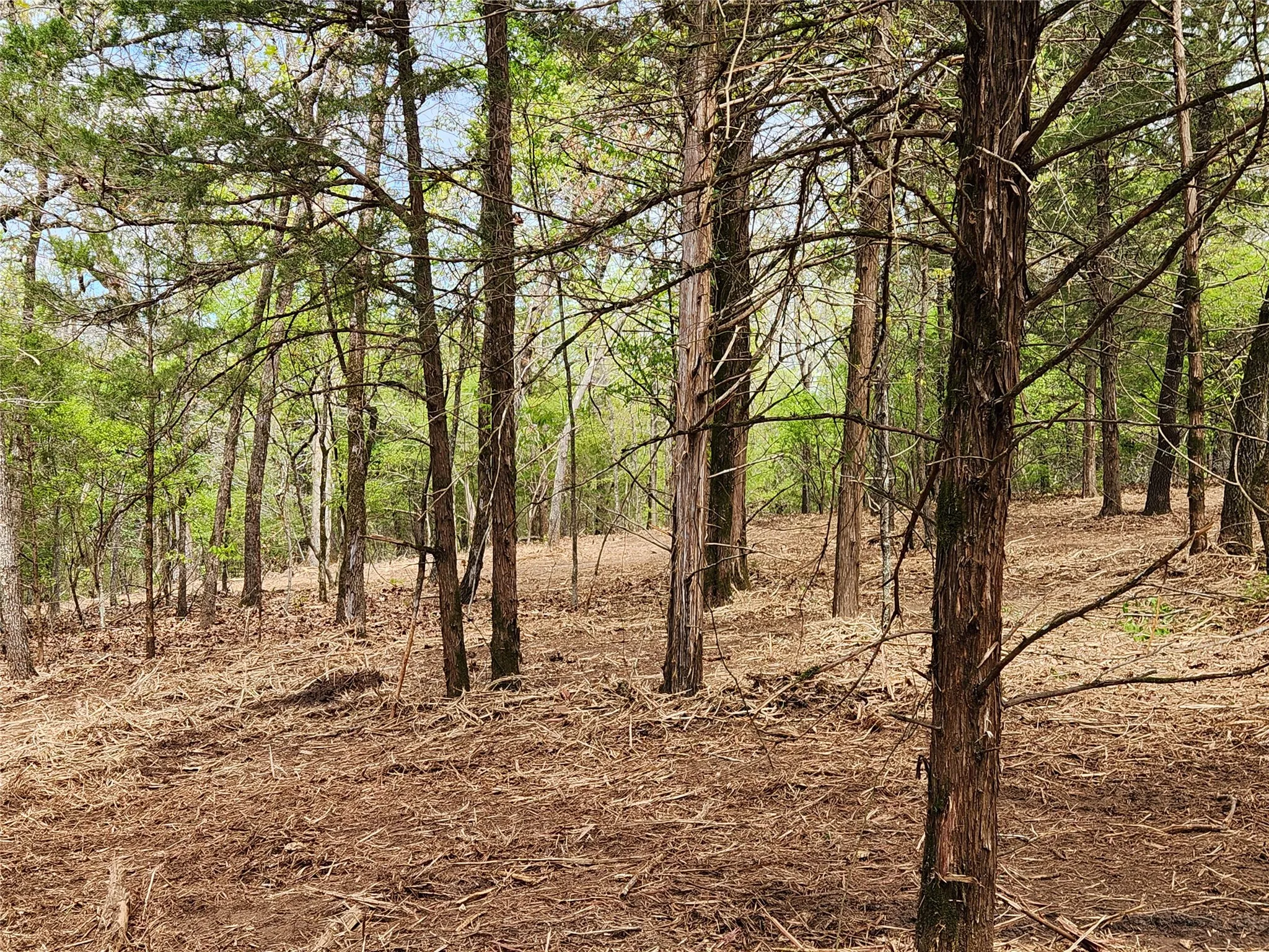 Improved Land For Sale in Henderson County , Lot 465 CR-4710, Larue, Texas 75770, 0, 0, Garage spaces, 0 Sqft, built in 0, Price $90,000, mls#21308440, Real Estate Agent in Larue, Homes For Sale in Henderson county, Homes For Sale in Larue, Realtor in Larue Texas, Real Estate Brokerage Independent Realty Texas, Luminita Cordes Realtor