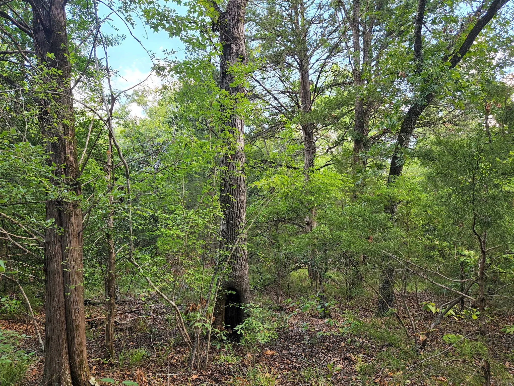 Improved Land For Sale in Henderson County , Lot 465 CR-4710, Larue, Texas 75770, 0, 0, Garage spaces, 0 Sqft, built in 0, Price $90,000, mls#21308440, Real Estate Agent in Larue, Homes For Sale in Henderson county, Homes For Sale in Larue, Realtor in Larue Texas, Real Estate Brokerage Independent Realty Texas, Luminita Cordes Realtor