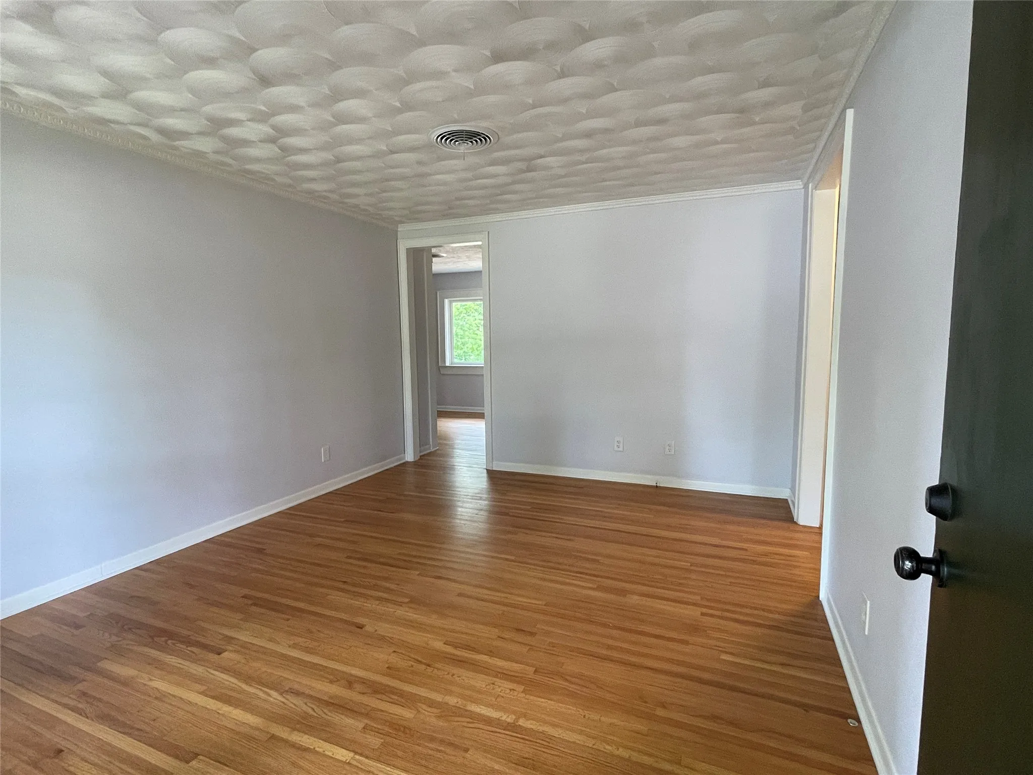Access to Kitchen and also to bedroom hallway from Living Area