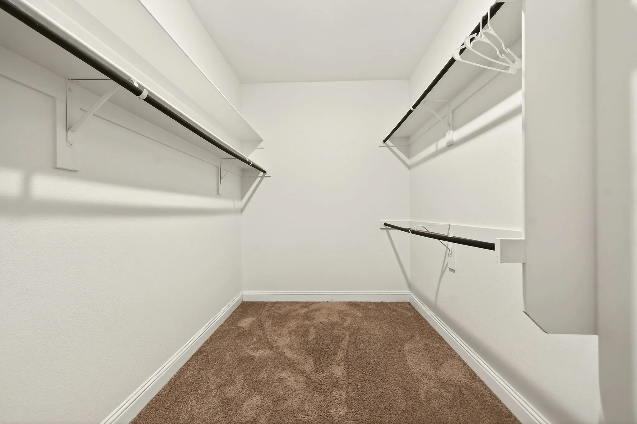 Walk-in closet featuring plush brown carpeting, white walls, and built-in shelving with black hanging rods