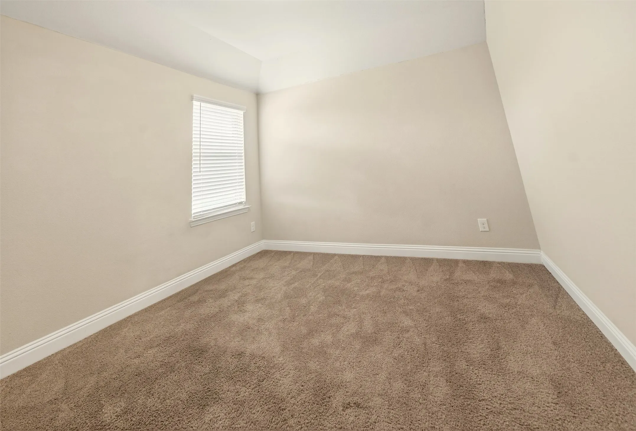 Neutral-toned room featuring light brown carpet, white baseboards, and a window with white blinds