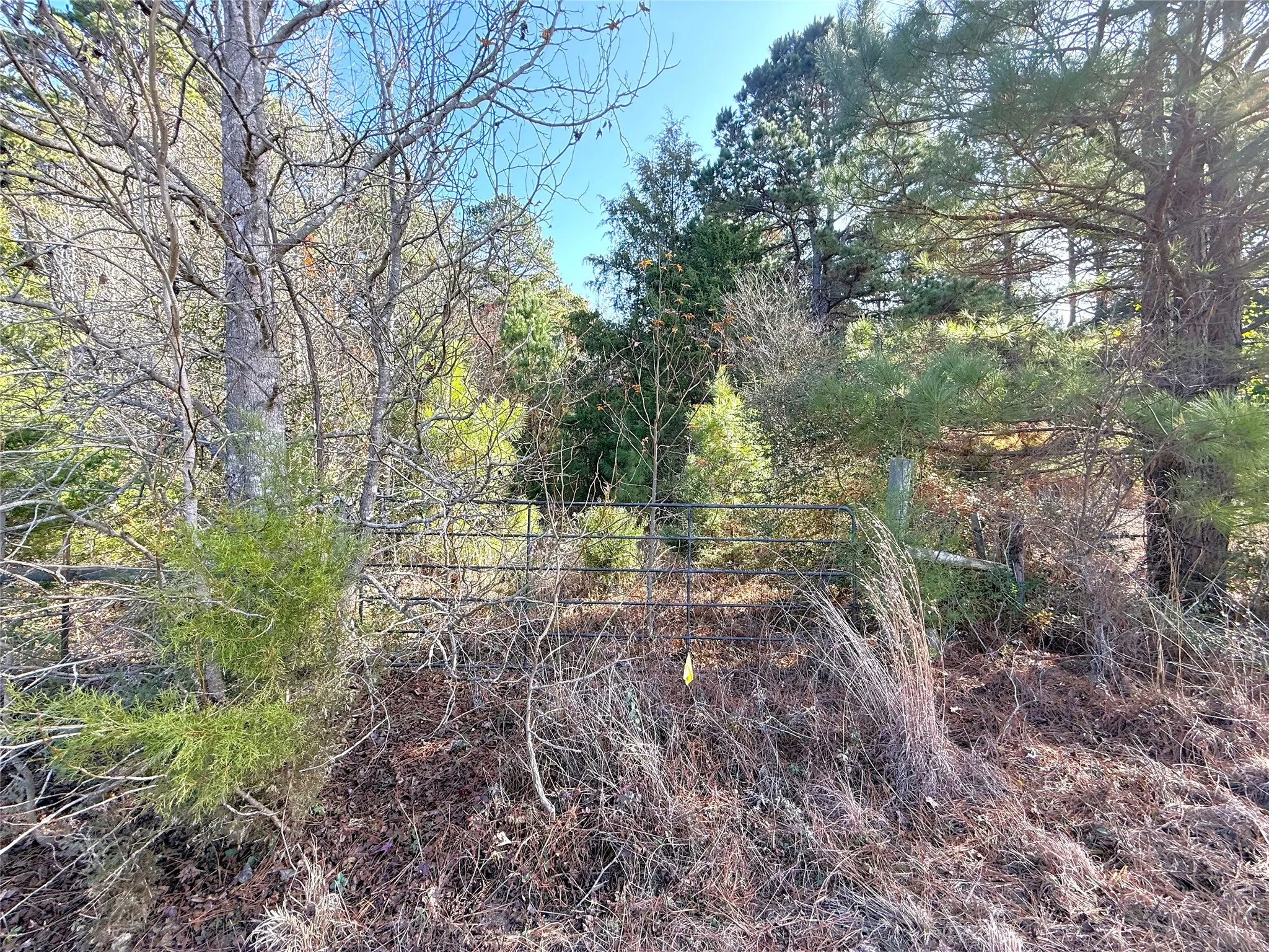 Unimproved Land For Sale in Cass County , 0 FM 2888, Marietta, Texas 75566, 0, 0, Garage spaces, 0 Sqft, built in 0, mls#21308504, Real Estate Agent in Marietta, Homes For Sale in Cass county, Homes For Sale in Marietta, Realtor in Marietta Texas, Real Estate Brokerage Independent Realty Texas, Luminita Cordes Realtor