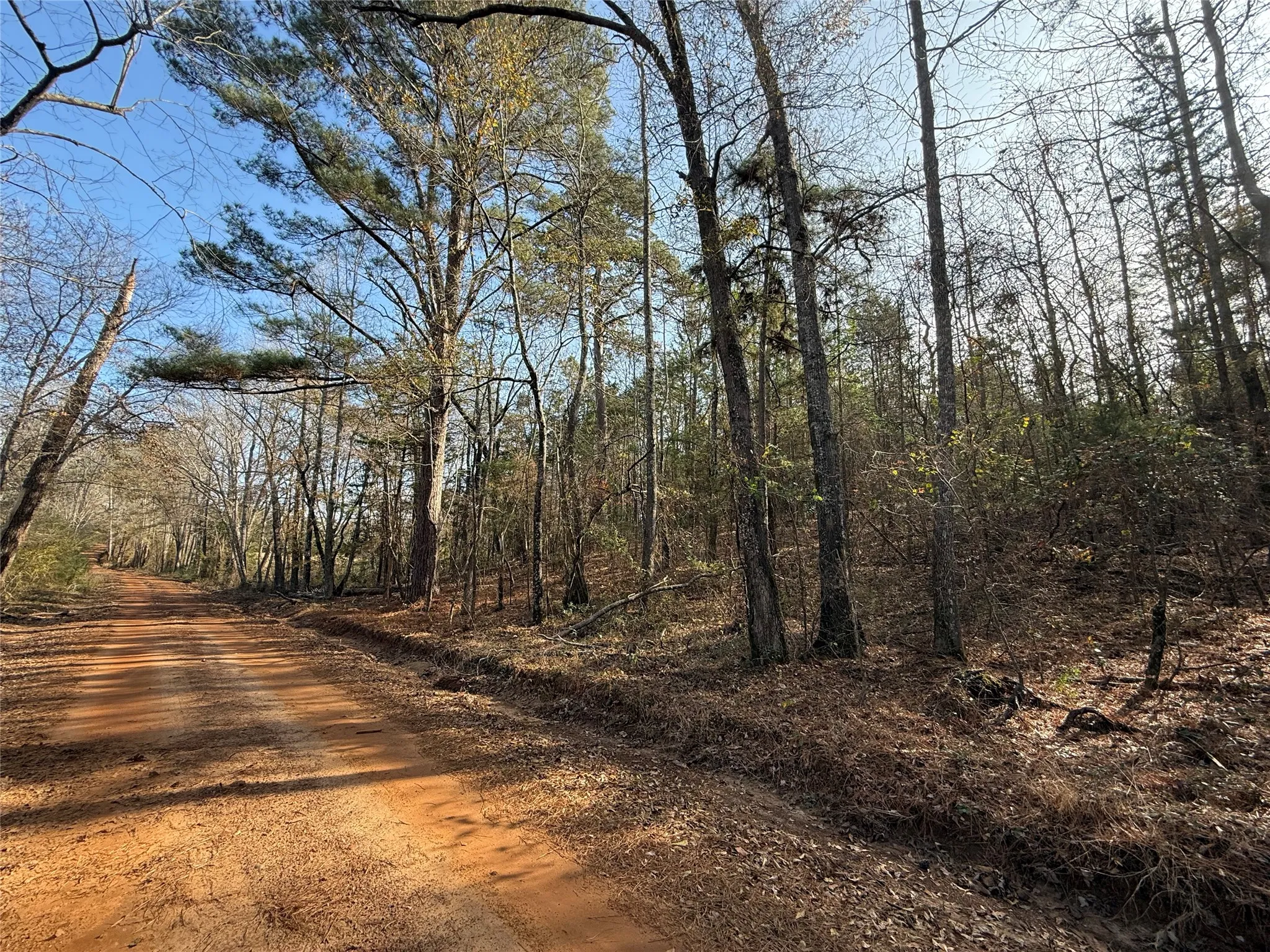 Unimproved Land For Sale in Cass County , 0 FM 2888, Marietta, Texas 75566, 0, 0, Garage spaces, 0 Sqft, built in 0, mls#21308504, Real Estate Agent in Marietta, Homes For Sale in Cass county, Homes For Sale in Marietta, Realtor in Marietta Texas, Real Estate Brokerage Independent Realty Texas, Luminita Cordes Realtor