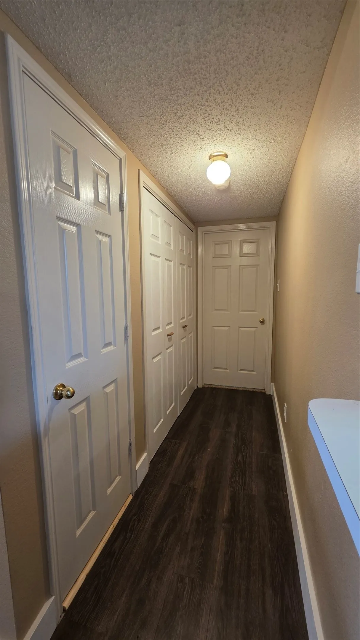 Hallway featuring wood-finish flooring, white paneled doors, and a ceiling-mounted light fixture