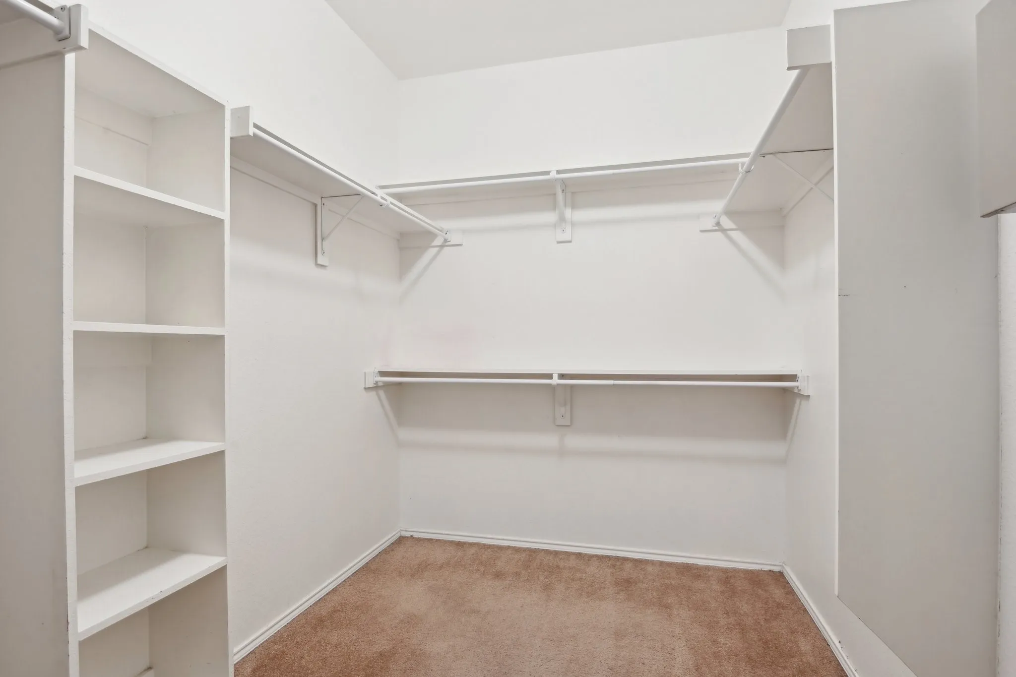 Spacious closet featuring light carpet