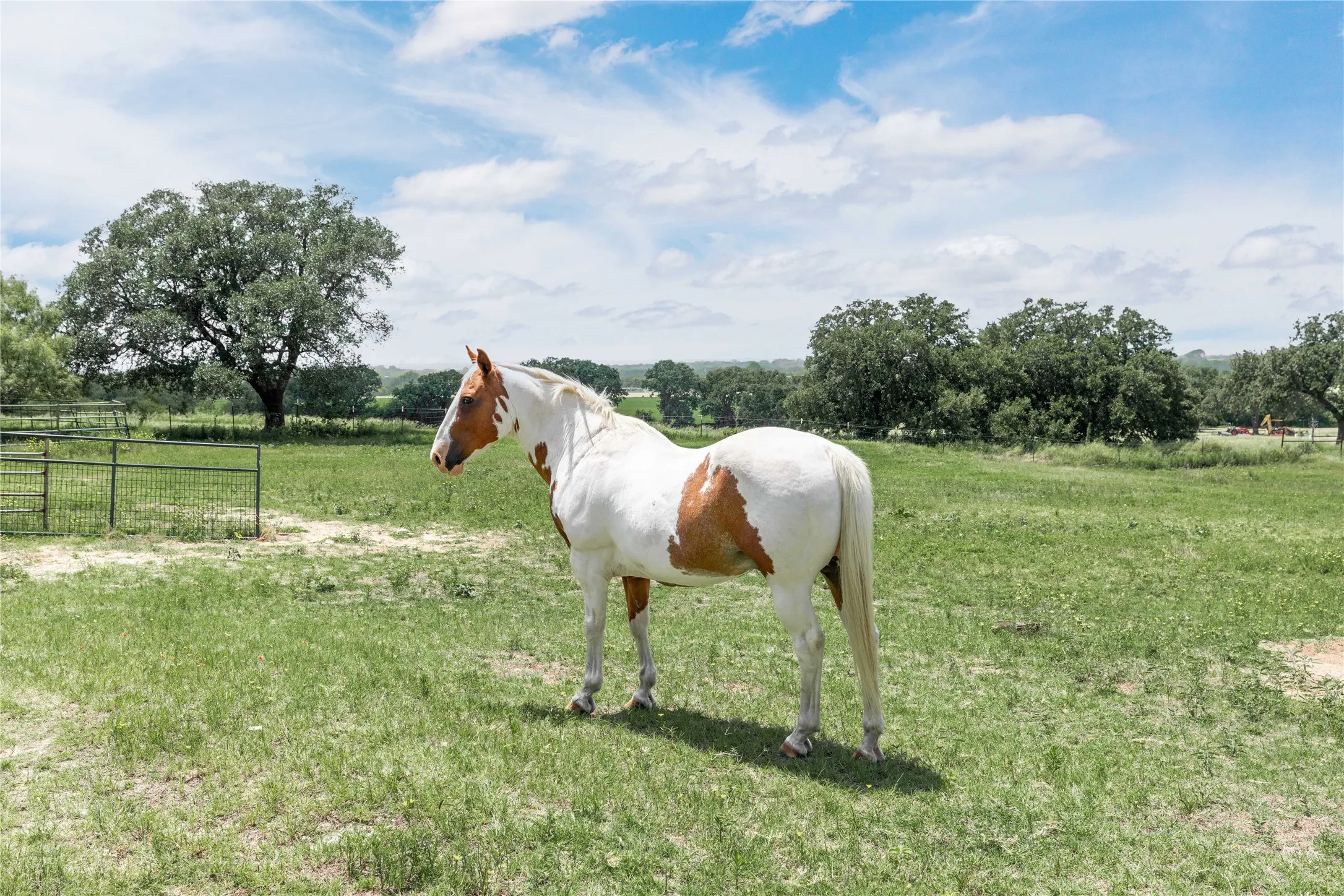 Single Family Residence For Sale in Eastland County , 3718 Highway 36 W, Rising Star, Texas 76471, 3 Bedroom, 2 Bathroom, 2 Garage spaces, 1,912 Sqft, built in 1982, mls#21308560, Real Estate Agent in Rising Star, Homes For Sale in Eastland county, Homes For Sale in Rising Star, Realtor in Rising Star Texas, Real Estate Brokerage Independent Realty Texas, Luminita Cordes Realtor