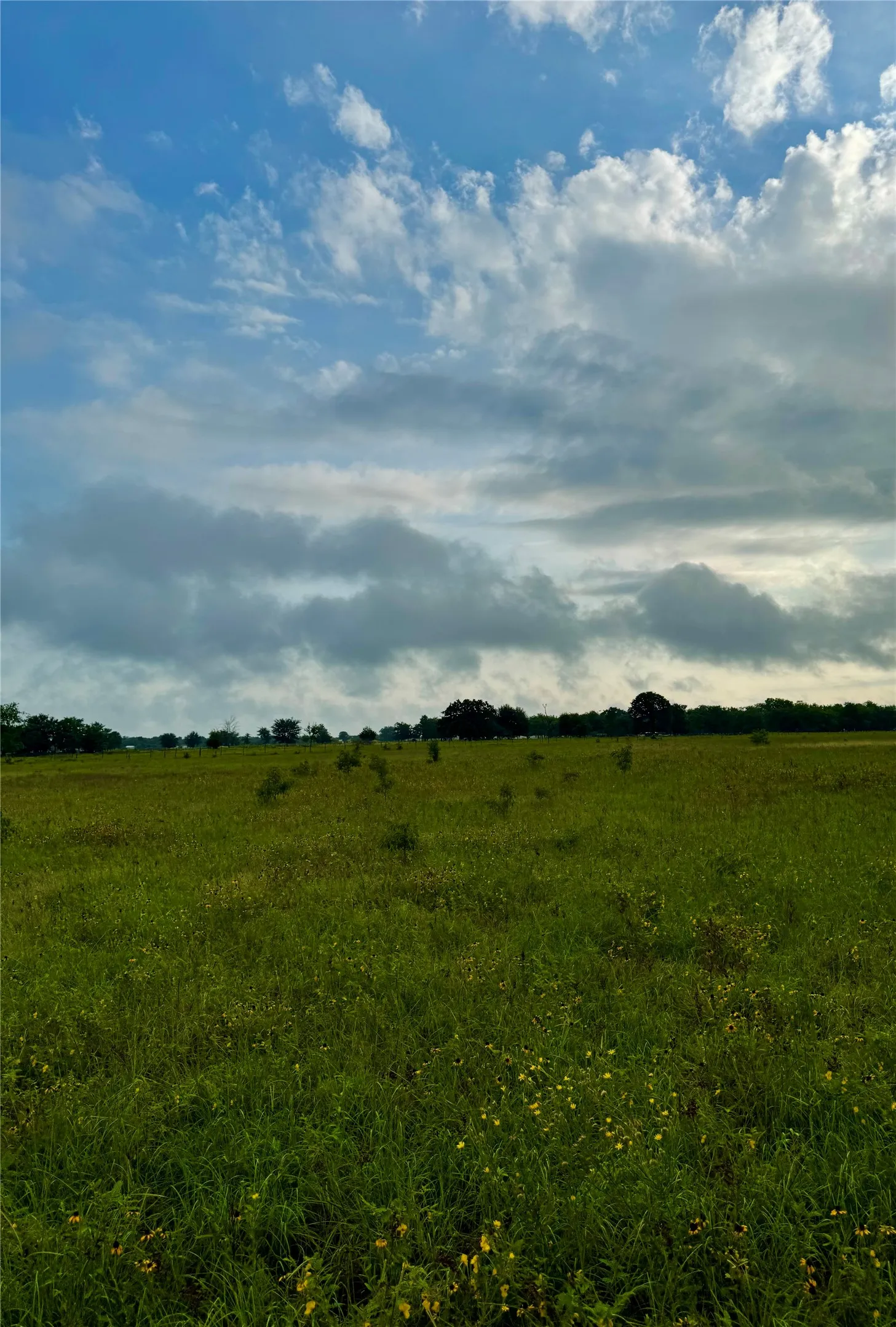 Farm For Sale in Kaufman County , 6655 County Road 118, Kaufman, Texas 75142, 3 Bedrooms, 3 Bathrooms, 2 Garage spaces, 1,833 Sqft, built in 1996, Price $900,000, mls#21282192, Real Estate Agent in Kaufman, Homes For Sale in Kaufman county, Homes For Sale in Kaufman, Realtor in Kaufman Texas, Real Estate Brokerage Independent Realty Texas, Luminita Cordes Realtor