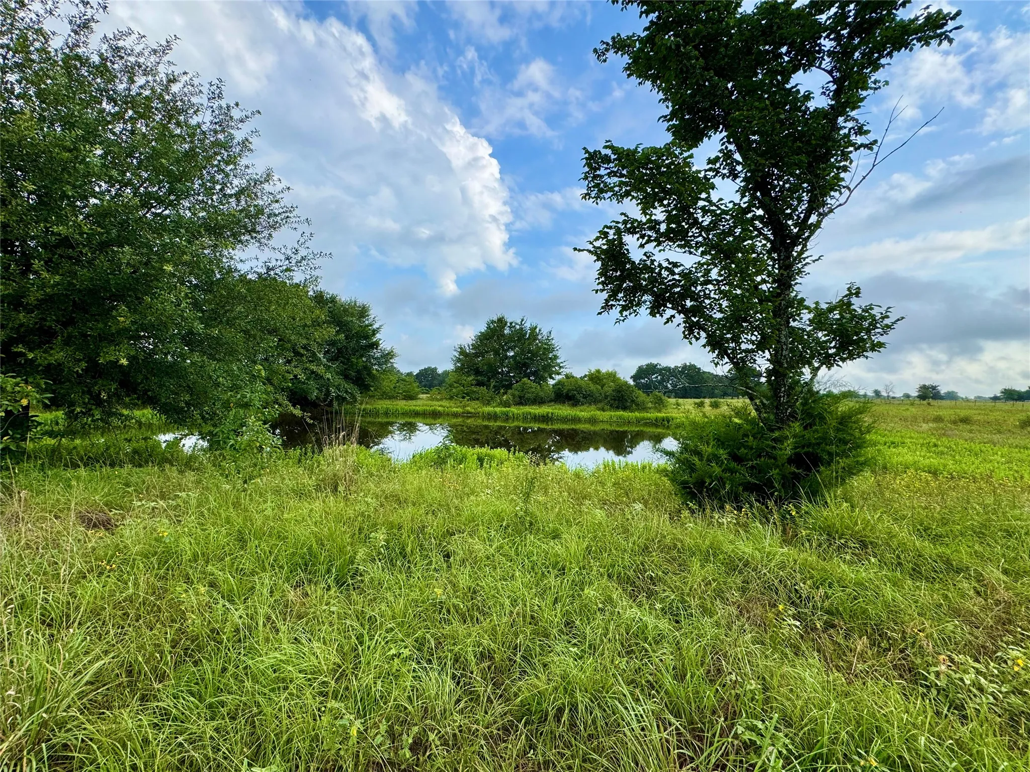 Farm For Sale in Kaufman County , 6655 County Road 118, Kaufman, Texas 75142, 3 Bedrooms, 3 Bathrooms, 2 Garage spaces, 1,833 Sqft, built in 1996, Price $900,000, mls#21282192, Real Estate Agent in Kaufman, Homes For Sale in Kaufman county, Homes For Sale in Kaufman, Realtor in Kaufman Texas, Real Estate Brokerage Independent Realty Texas, Luminita Cordes Realtor