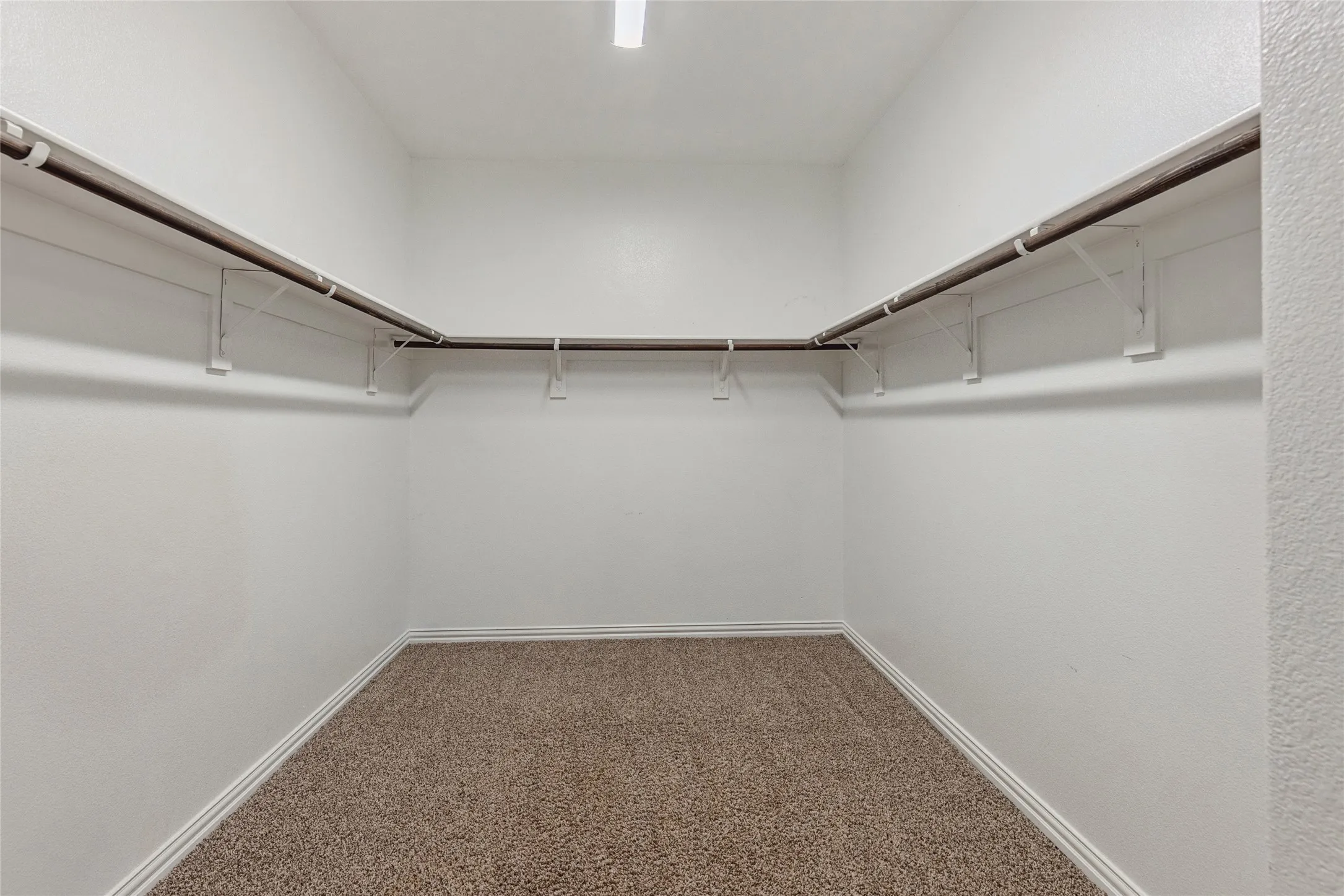 Walk-in closet featuring light-toned carpeting, white baseboards, white walls, and a built-in hanging rod system
