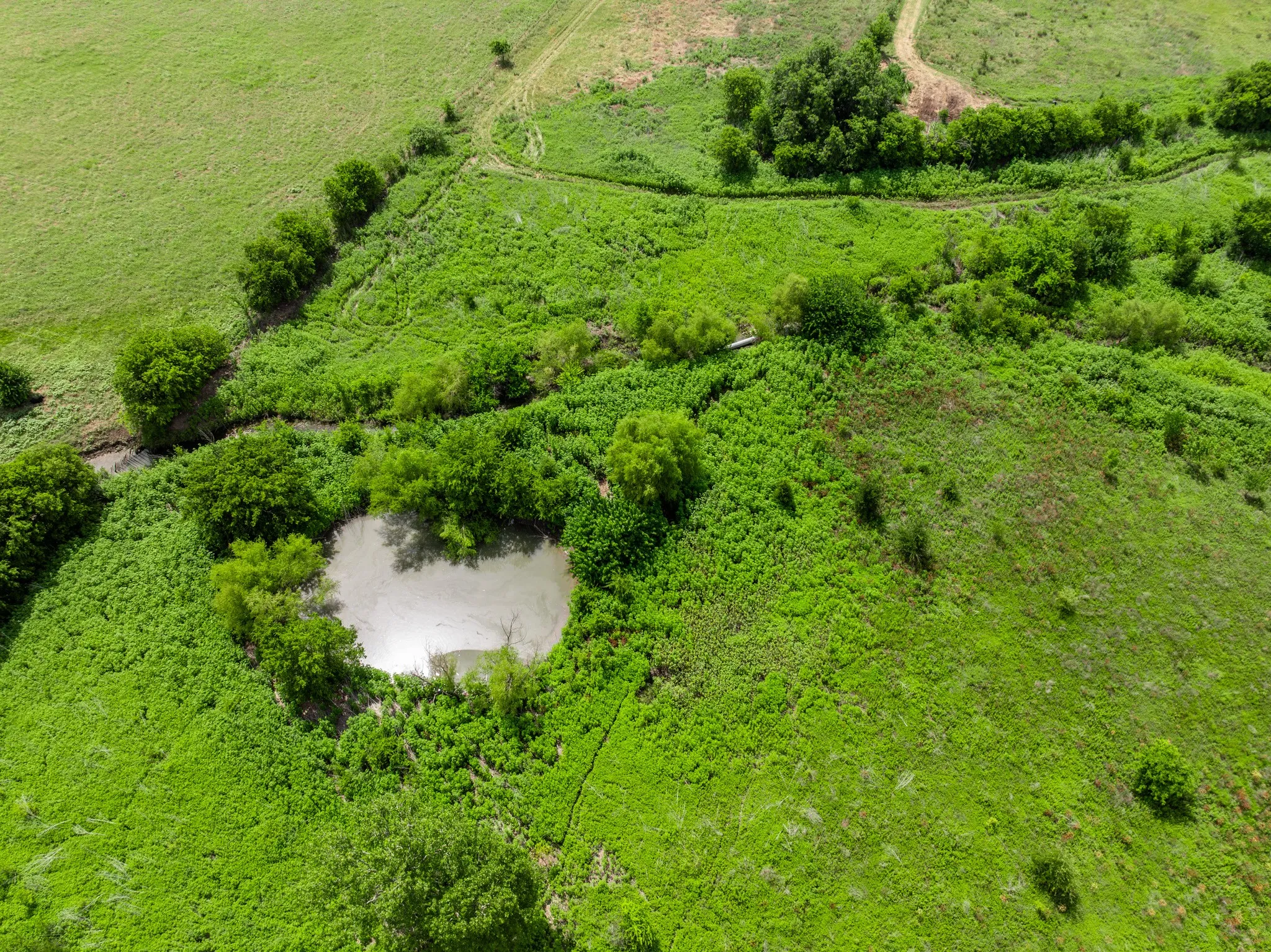 Expansive green acreage featuring a natural pond, lush vegetation, a meandering stream, and established tree lines