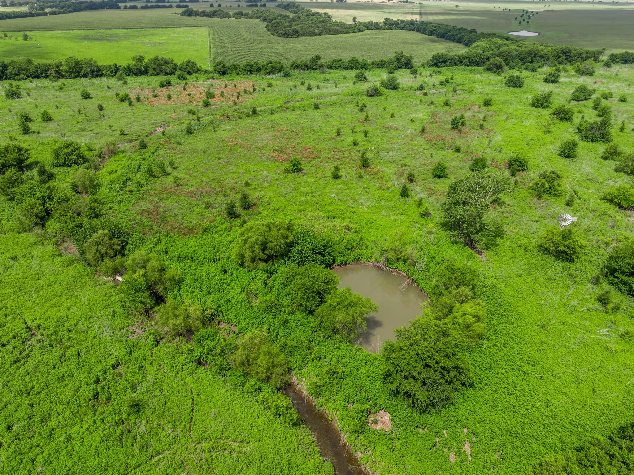 Expansive green landscape featuring varied terrain, a natural pond, and a winding creek