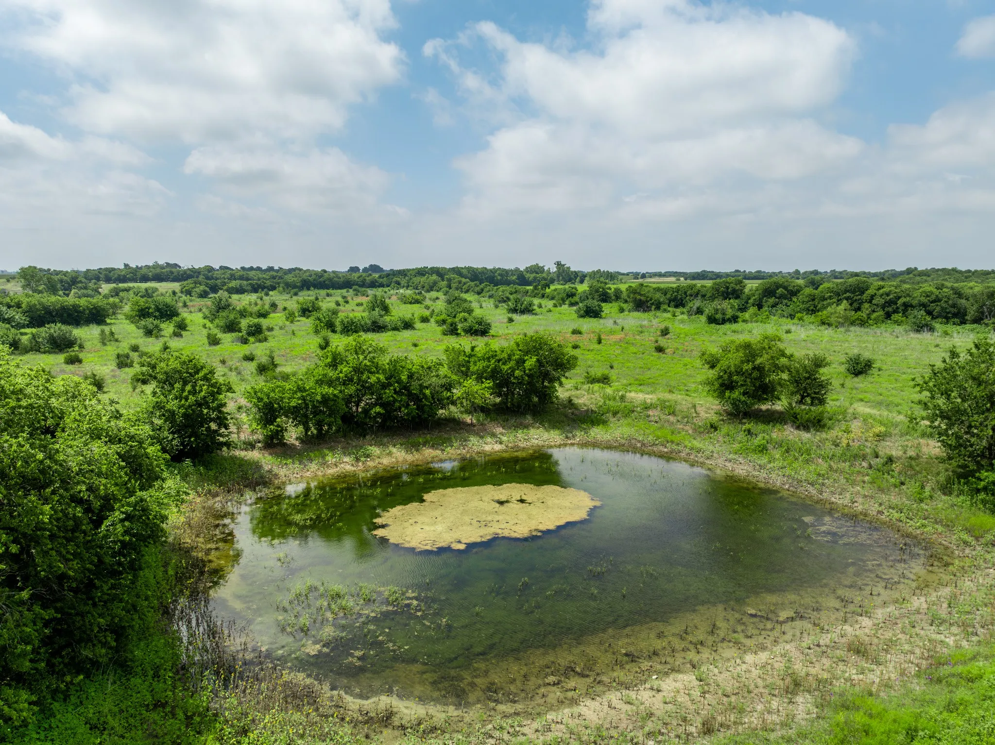 Ranch For Sale in Coryell County , 3725 CR 272, Oglesby, Texas 76561, 0, 0, Garage spaces, 0 Sqft, built in 0, mls#21307330, Real Estate Agent in Oglesby, Homes For Sale in Coryell county, Homes For Sale in Oglesby, Realtor in Oglesby Texas, Real Estate Brokerage Independent Realty Texas, Luminita Cordes Realtor