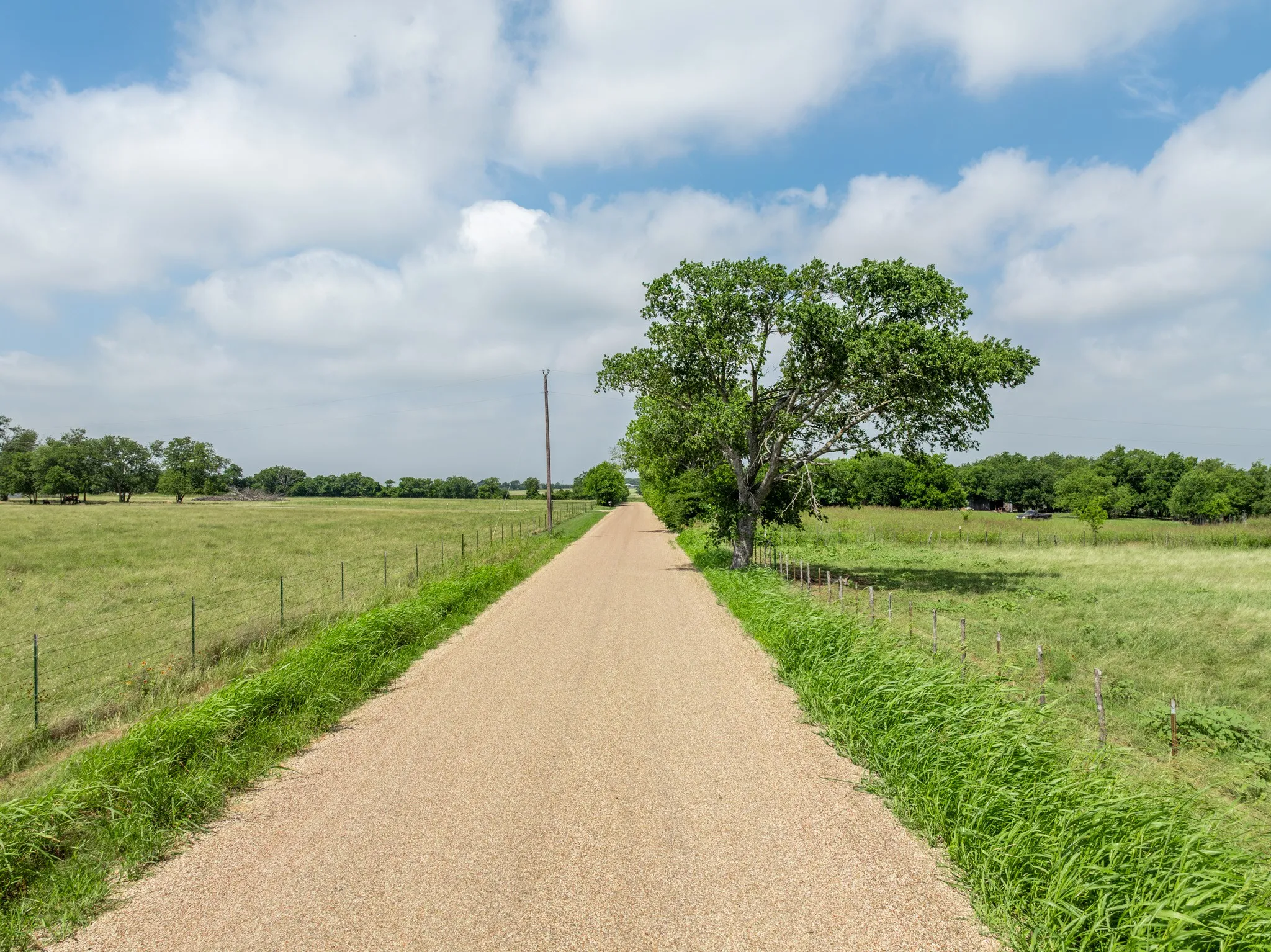 Gravel roadway bordered by green fields and mature trees under a blue sky with clouds
