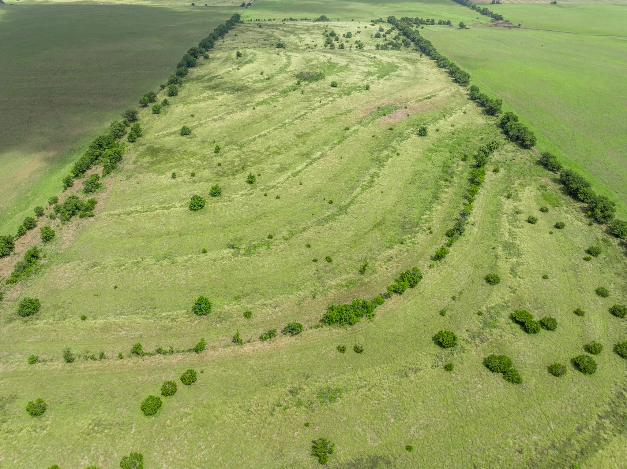 Expansive green landscape featuring varied terrain and natural vegetation