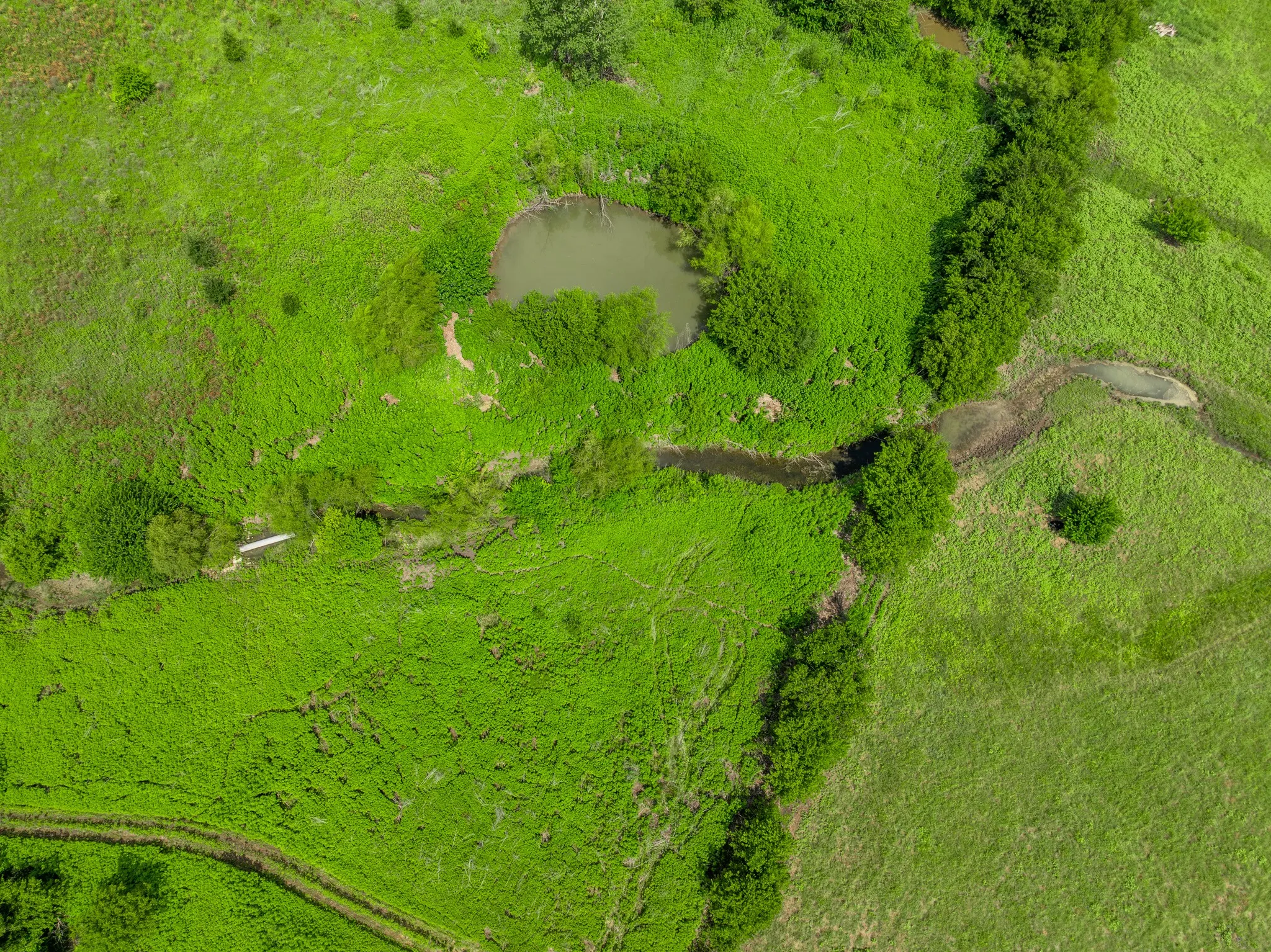 Expansive green landscape featuring a natural pond, winding creek, lush vegetation, and varied topography