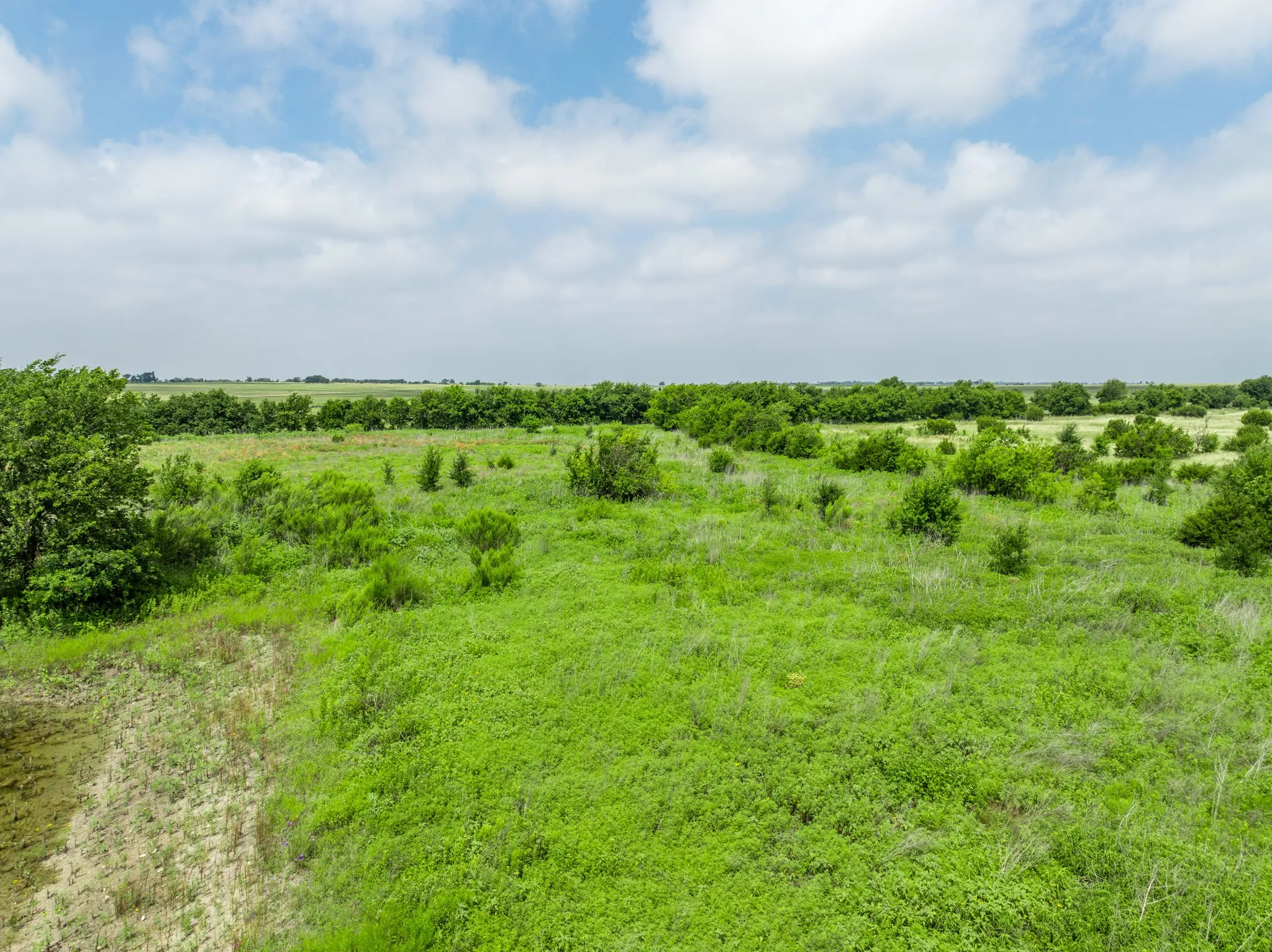 Expansive undeveloped land featuring natural vegetation and scattered trees