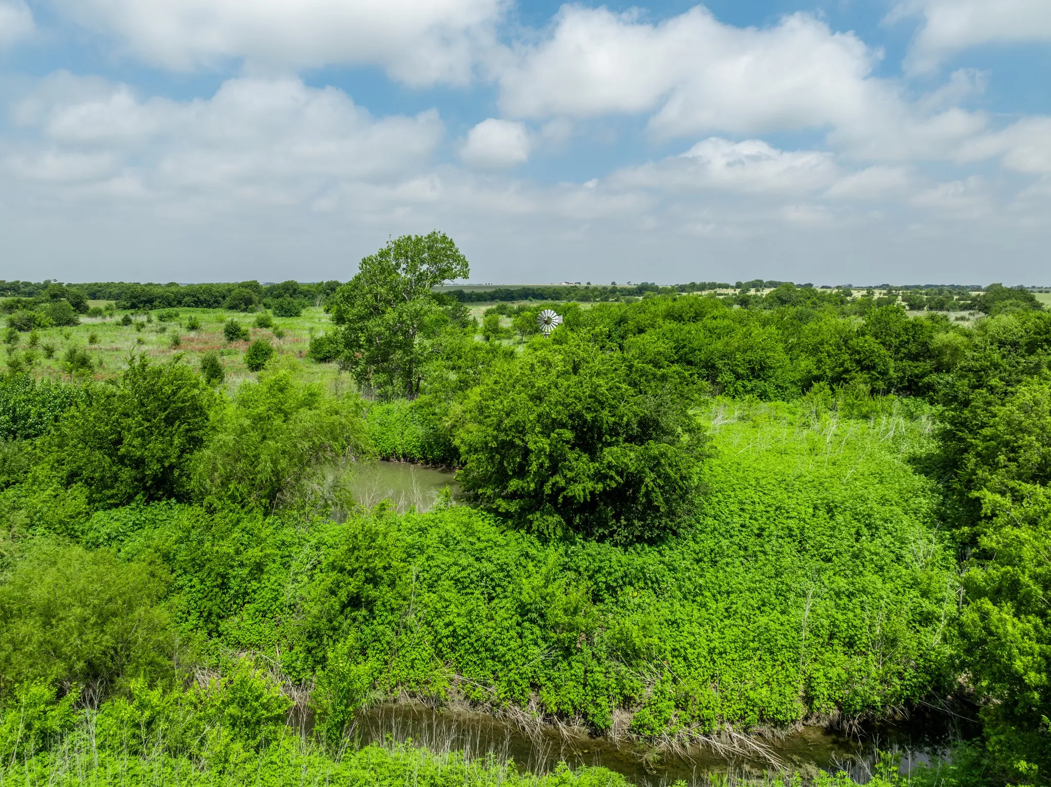 Expansive natural landscape featuring lush green vegetation and mature trees, with a winding creek visible through the foliage