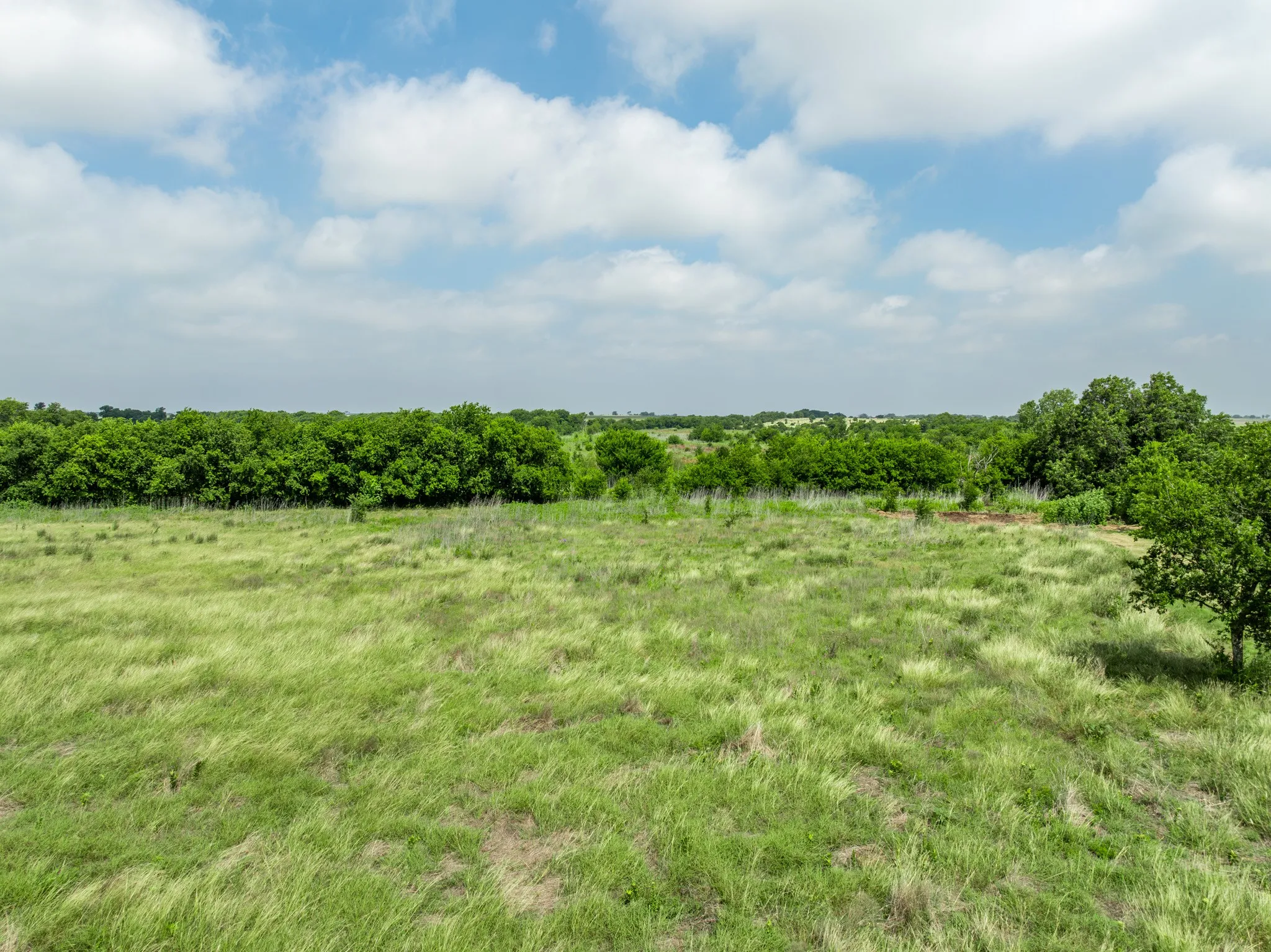 Expansive green acreage with mature tree lines