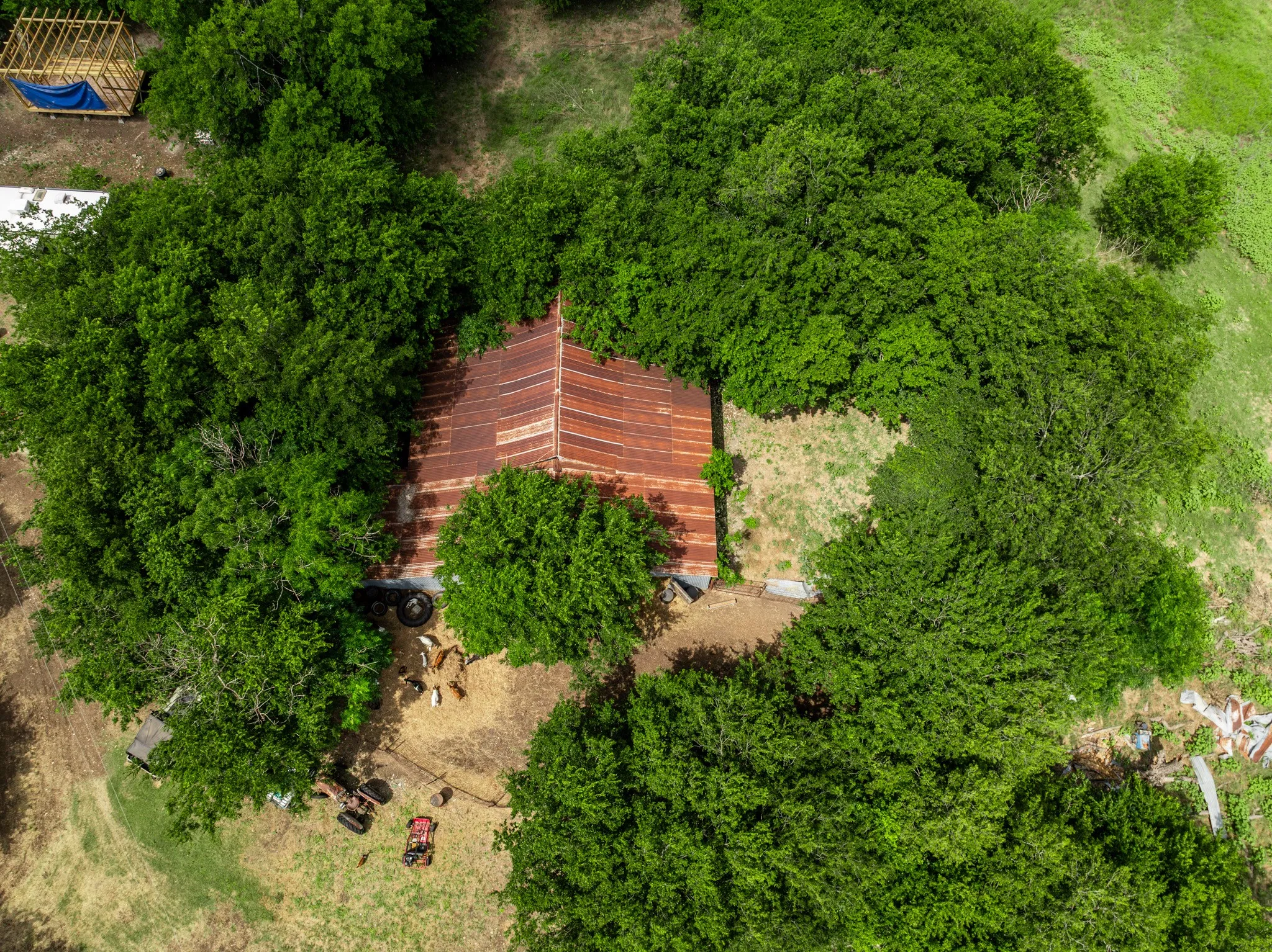 Aerial perspective showcasing a property surrounded by mature trees, featuring a structure with a corrugated metal roof