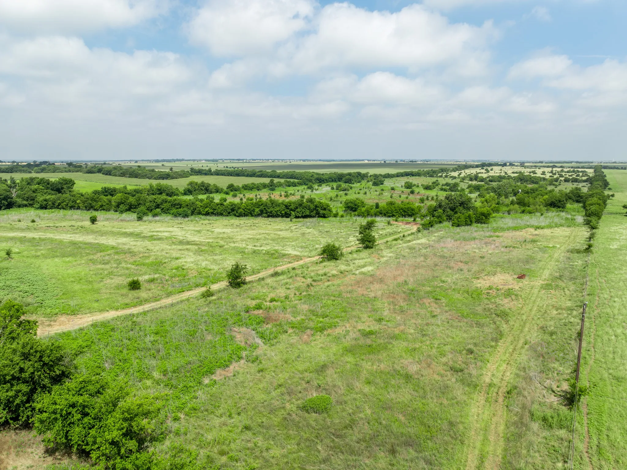 Expansive green landscape with scattered trees, featuring a visible track or path