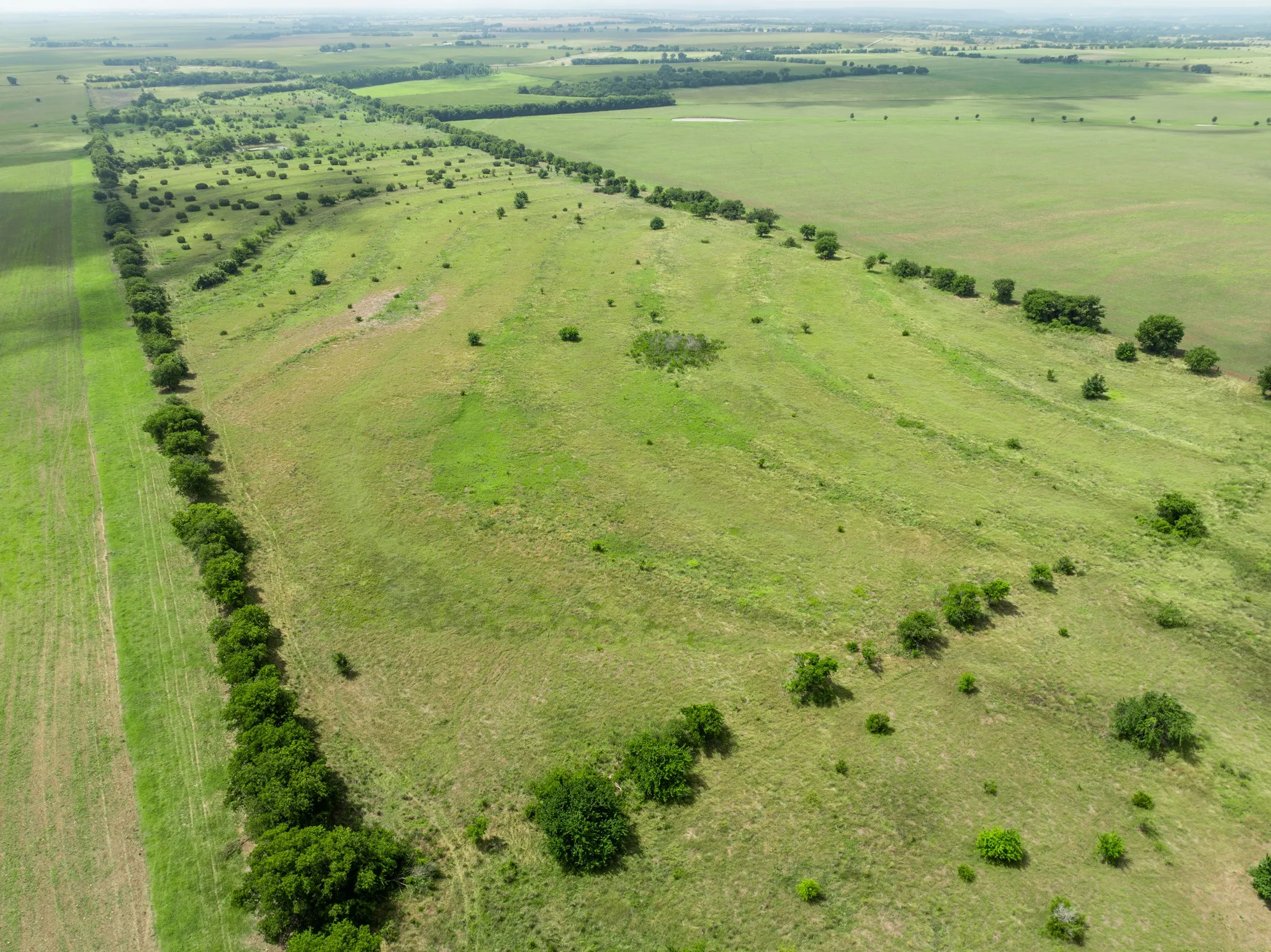 Expansive green landscape with varying terrain, featuring scattered mature trees and delineated property lines