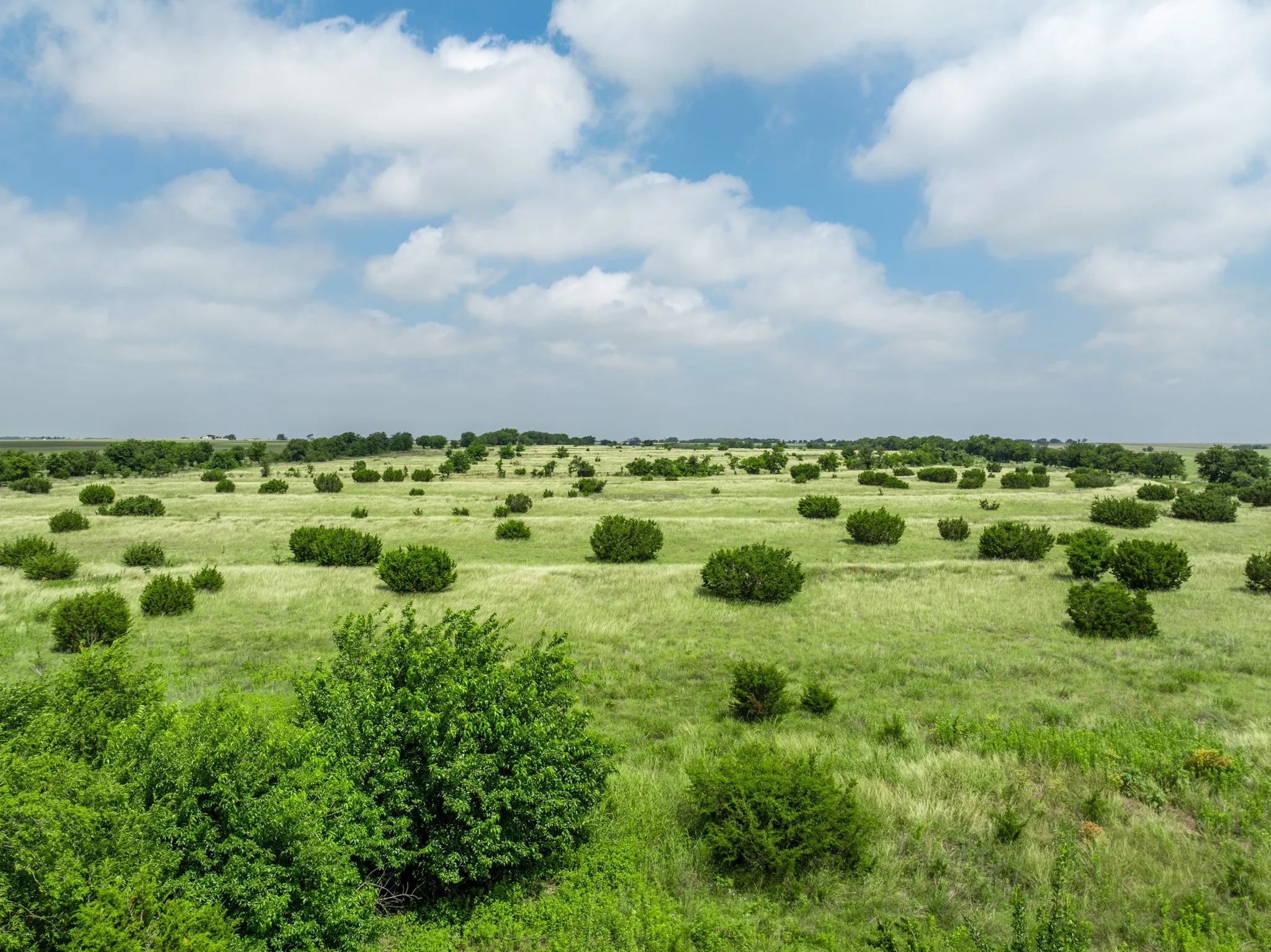 Expansive undeveloped land featuring natural green grass, diverse shrubbery, and a broad horizon