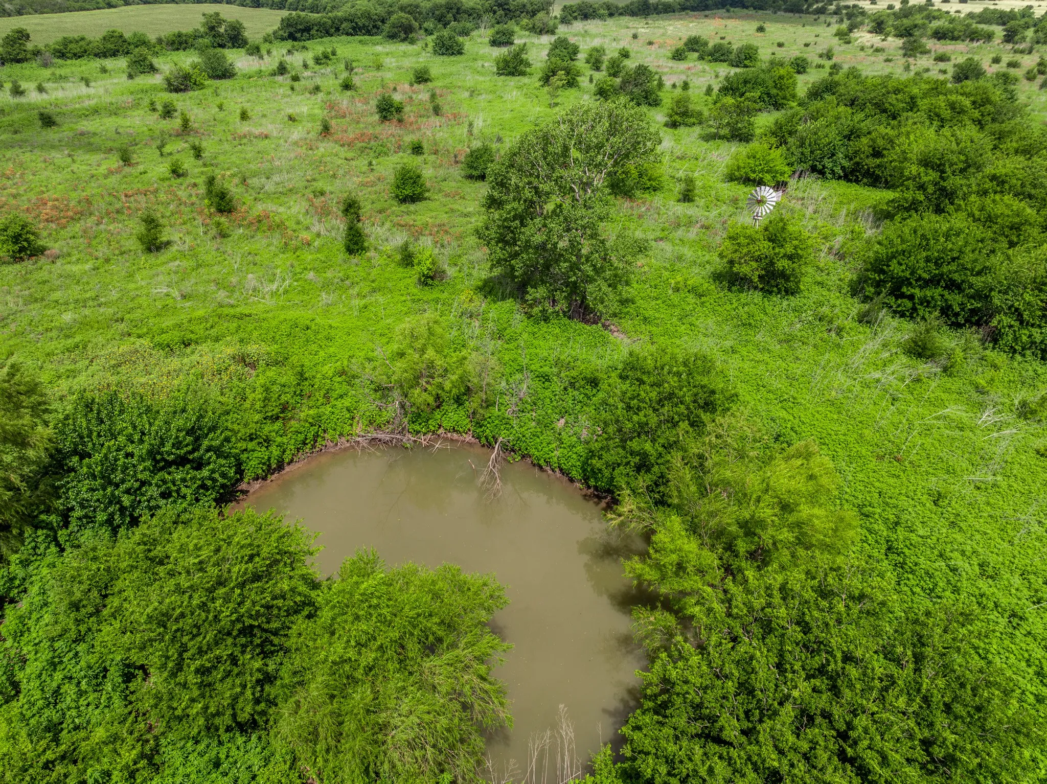 Vast green landscape featuring a natural pond