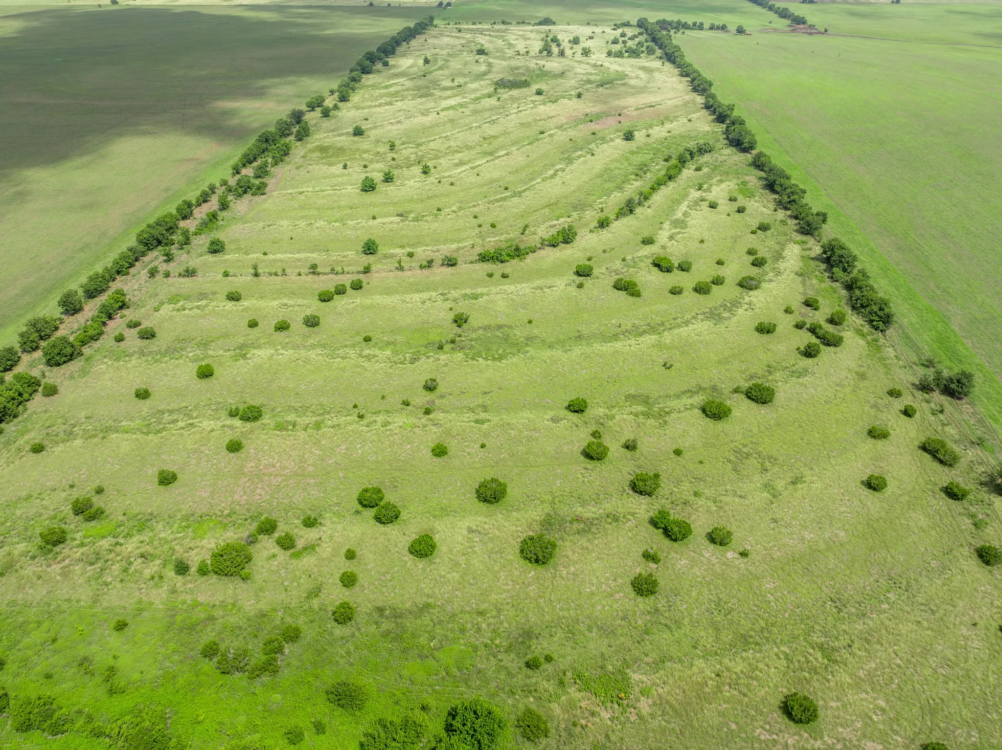 Expansive green acreage featuring natural contours and scattered shrubbery