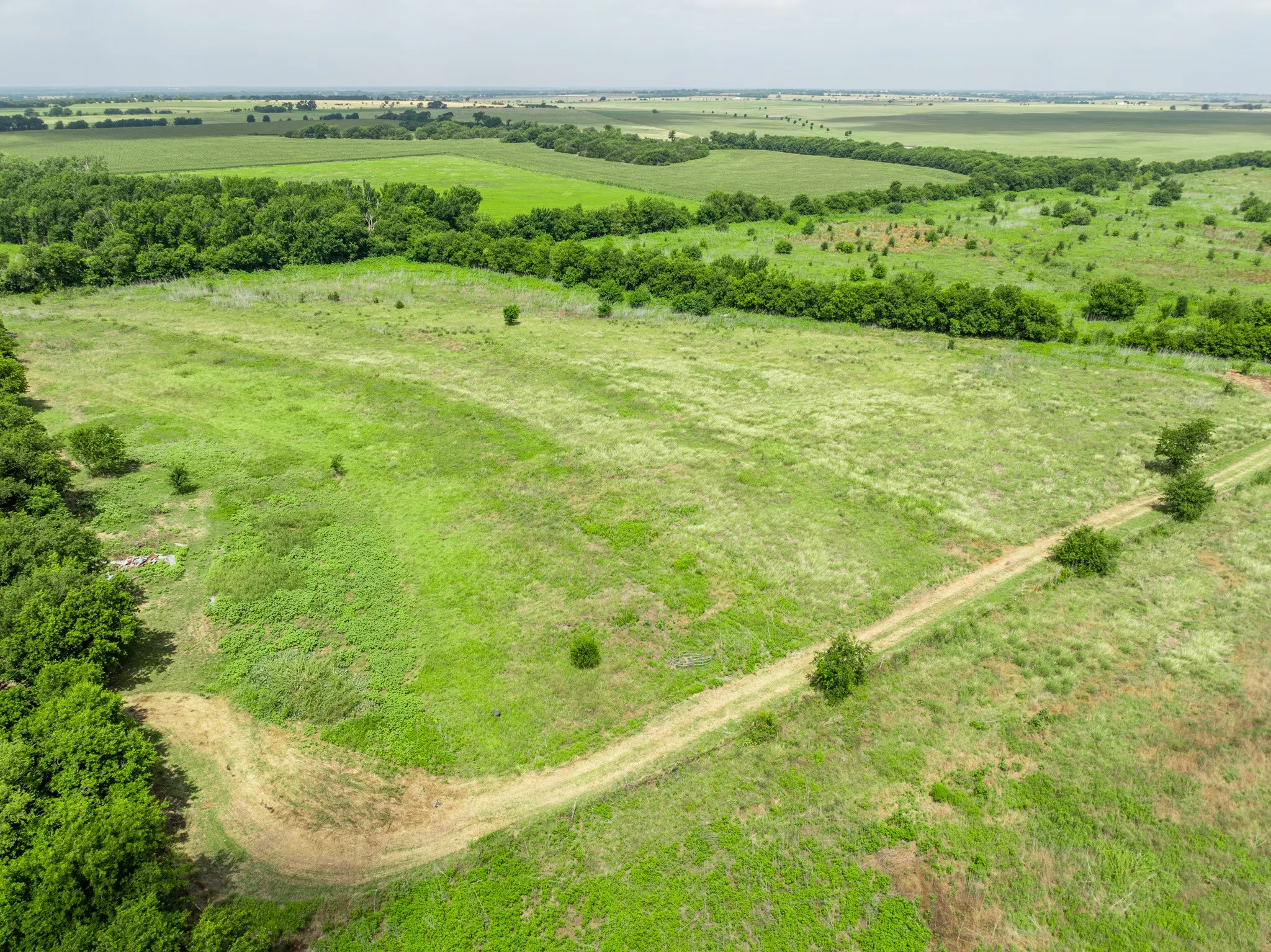 Expansive green acreage featuring a winding dirt path, bordered by mature trees and verdant foliage