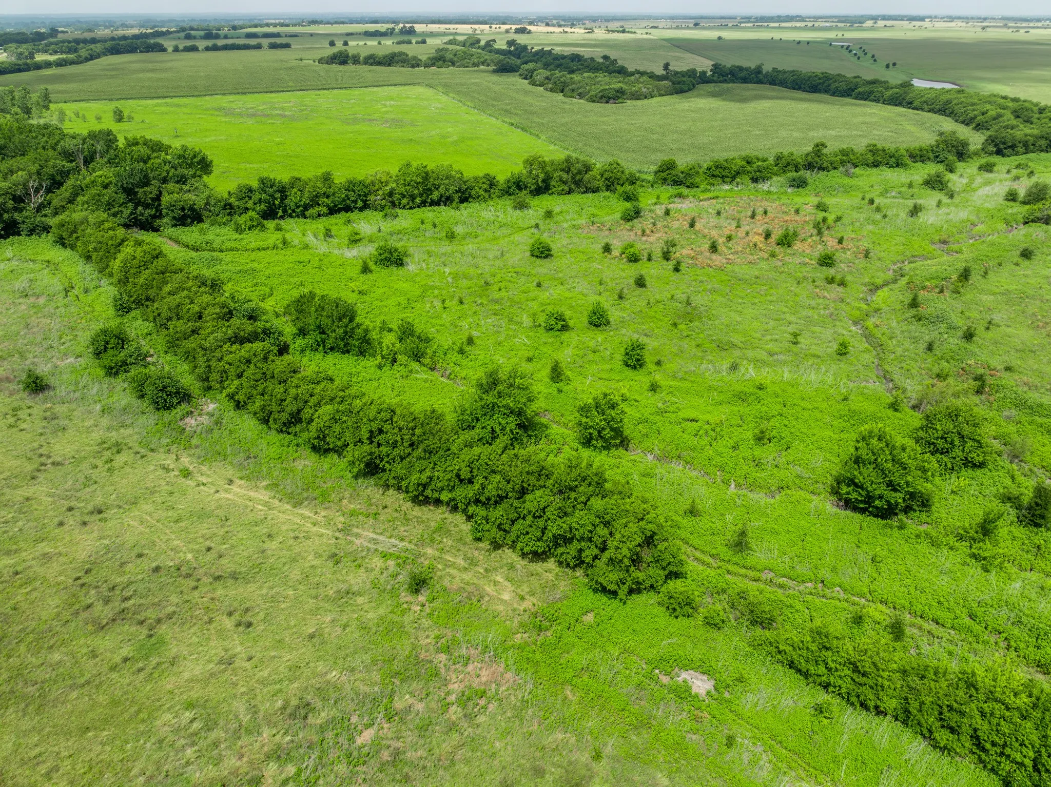 Expansive green fields featuring natural tree lines and open clearings