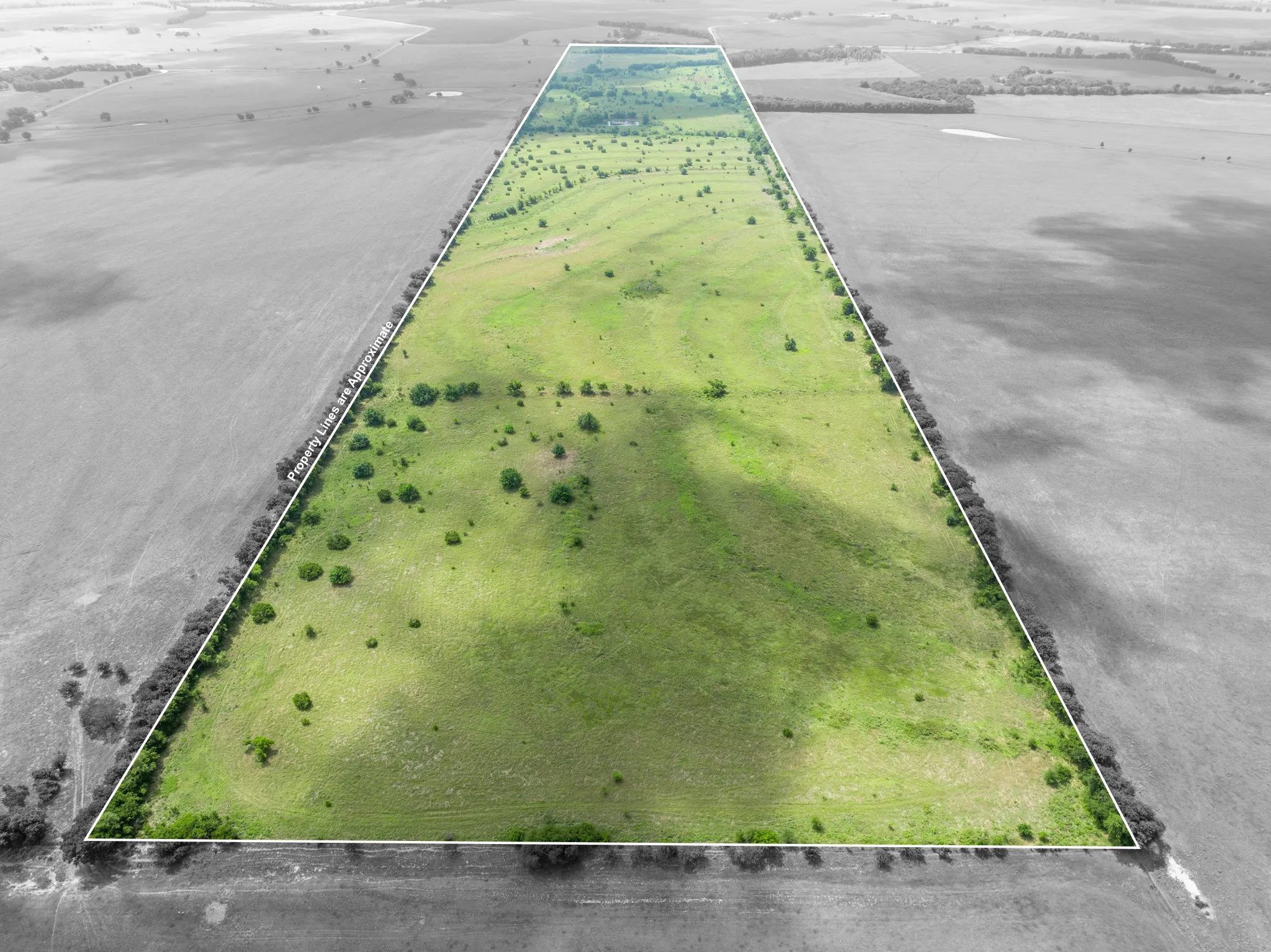 Expansive green acreage with scattered mature trees
