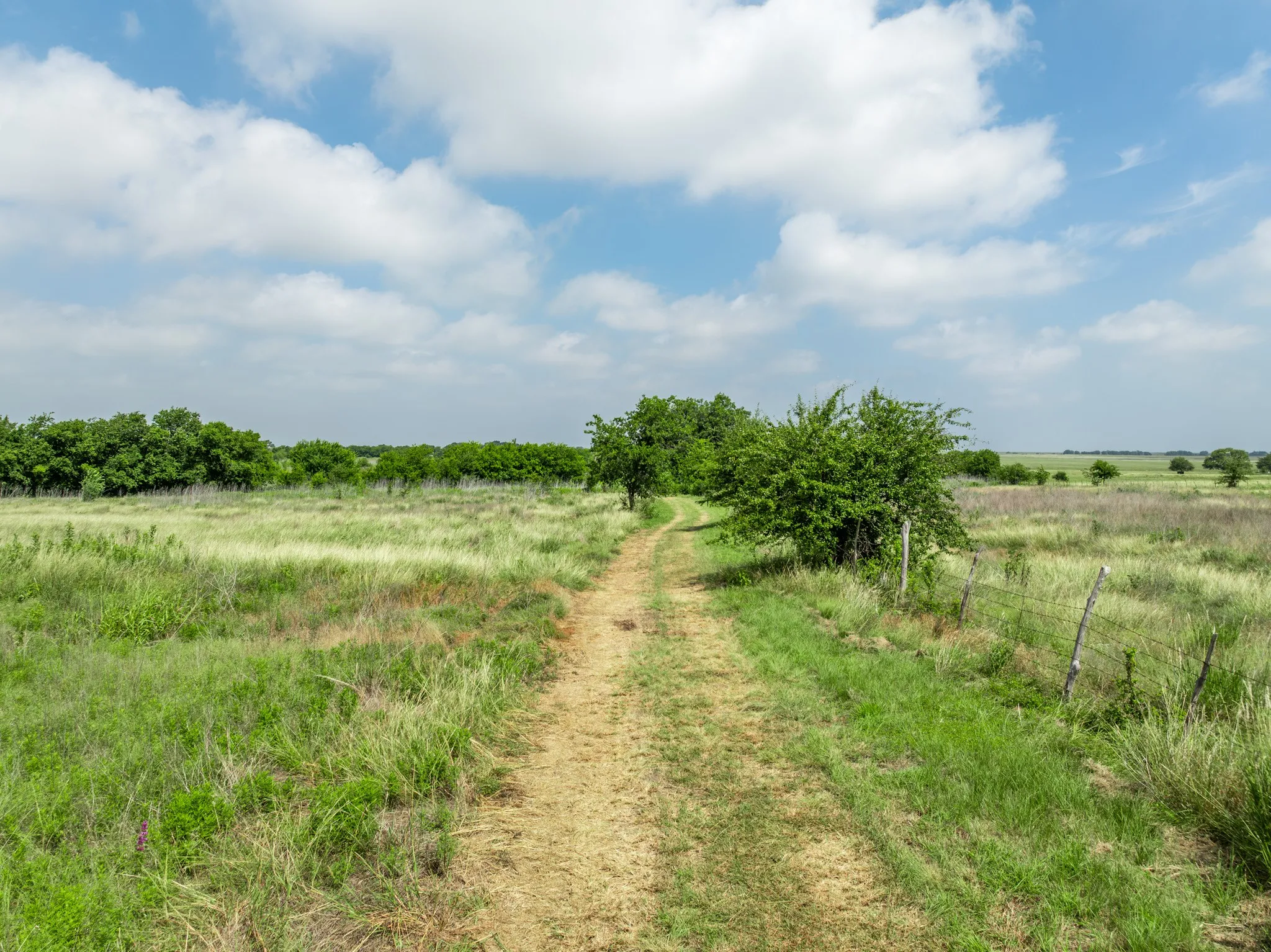Ranch For Sale in Coryell County , 3725 CR 272, Oglesby, Texas 76561, 0, 0, Garage spaces, 0 Sqft, built in 0, mls#21307330, Real Estate Agent in Oglesby, Homes For Sale in Coryell county, Homes For Sale in Oglesby, Realtor in Oglesby Texas, Real Estate Brokerage Independent Realty Texas, Luminita Cordes Realtor