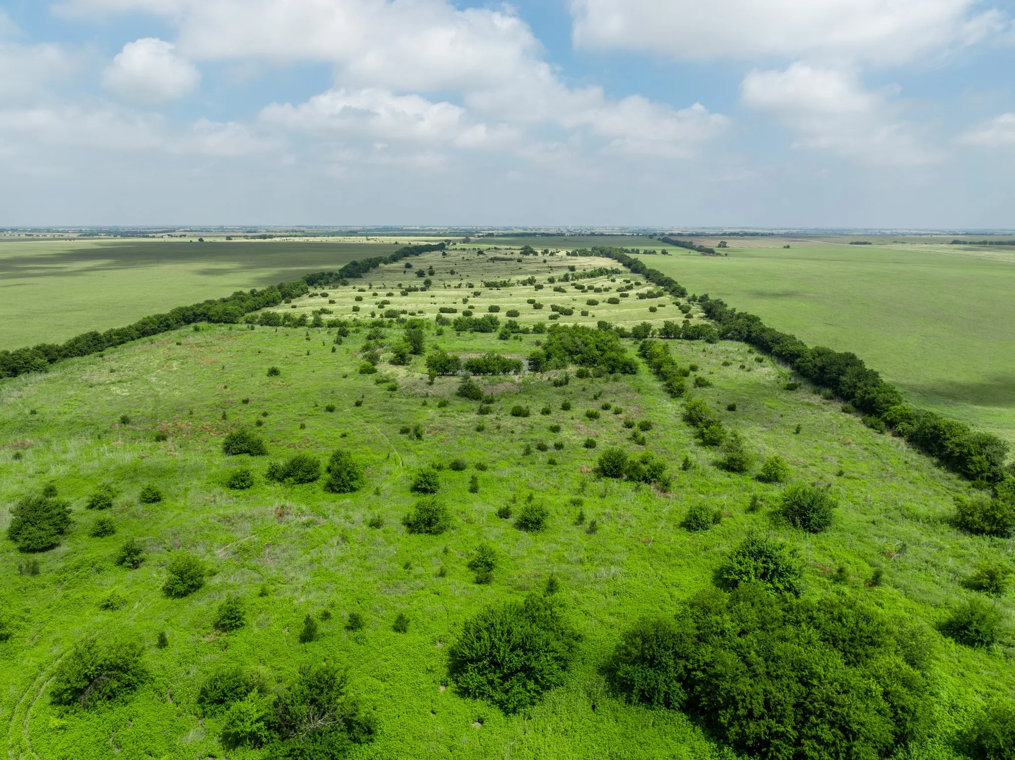 Expansive green landscape with established tree lines