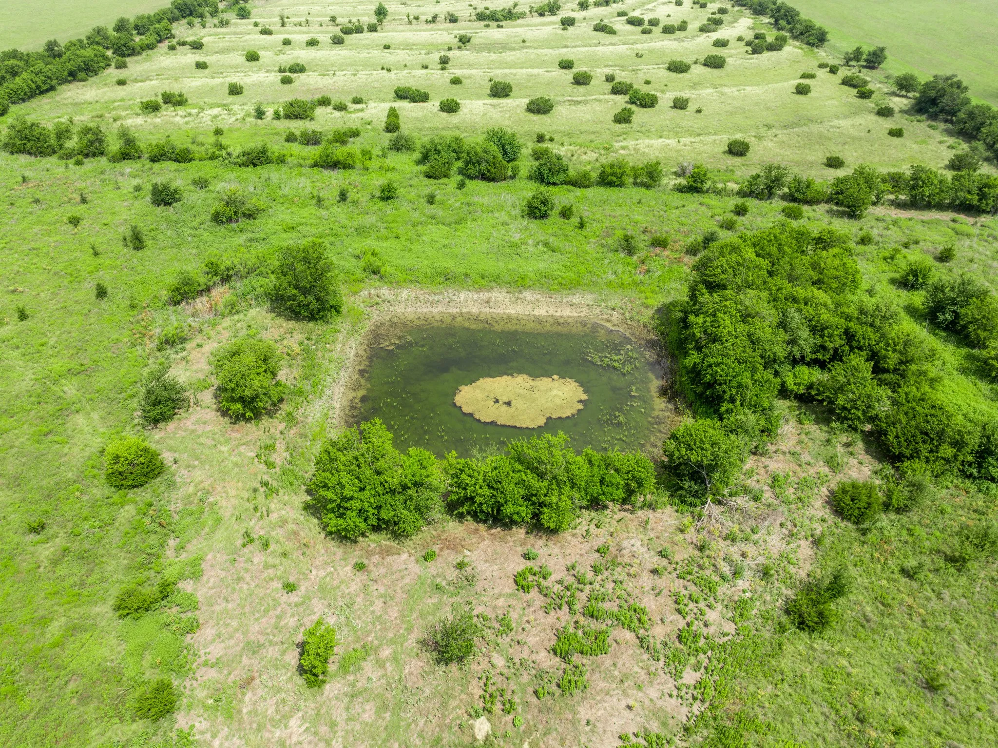 Expansive green landscape featuring a central pond with an island, surrounded by scattered trees and shrubs