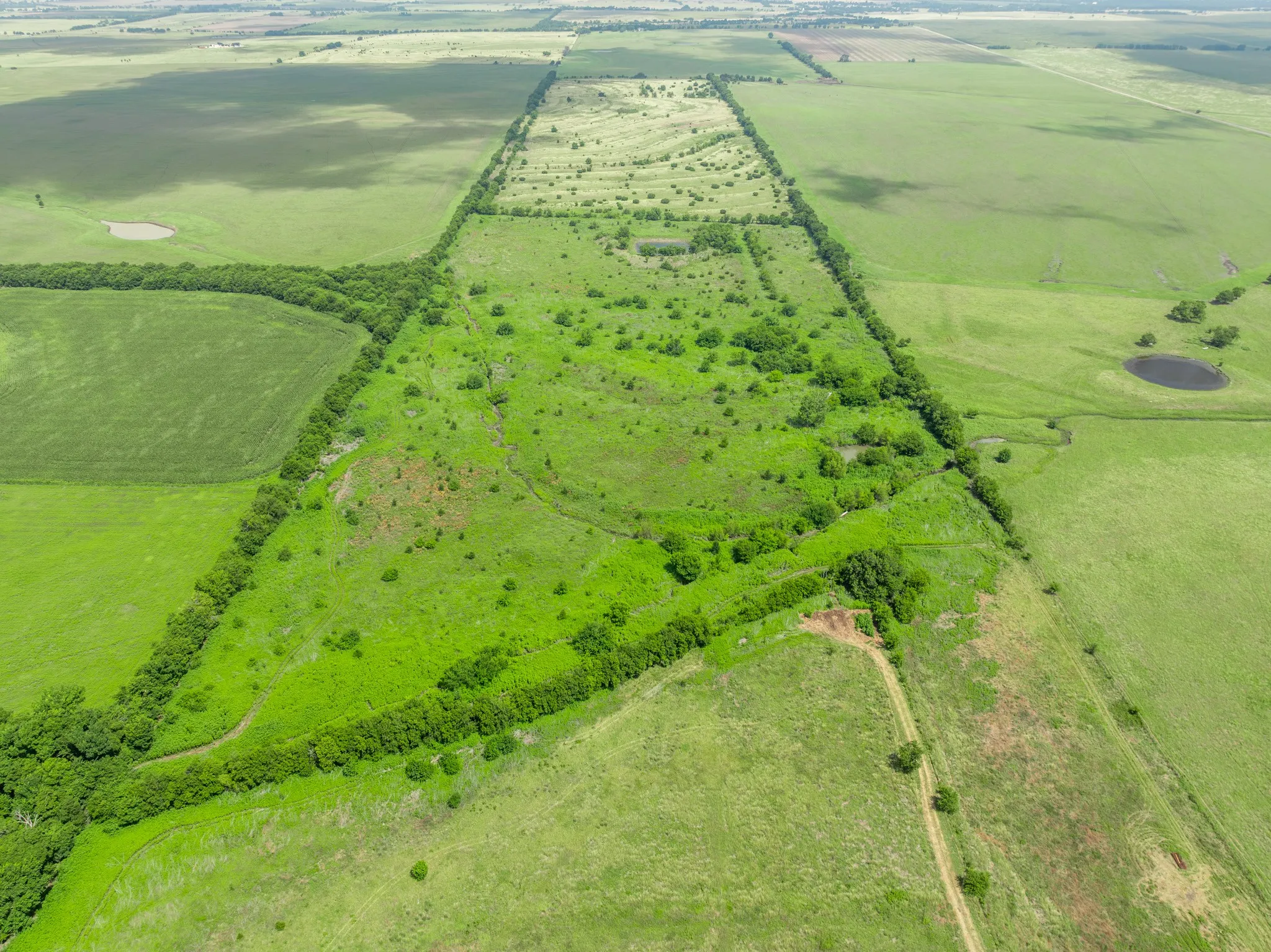 Expansive green acreage with diverse topography, featuring dense tree lines, open grassy areas, and a visible dirt path