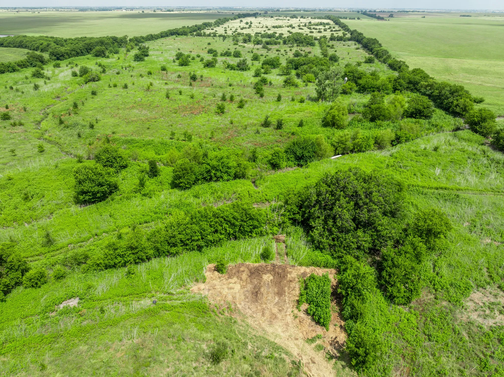 Expansive green landscape featuring varied topography, mature trees, and natural vegetation