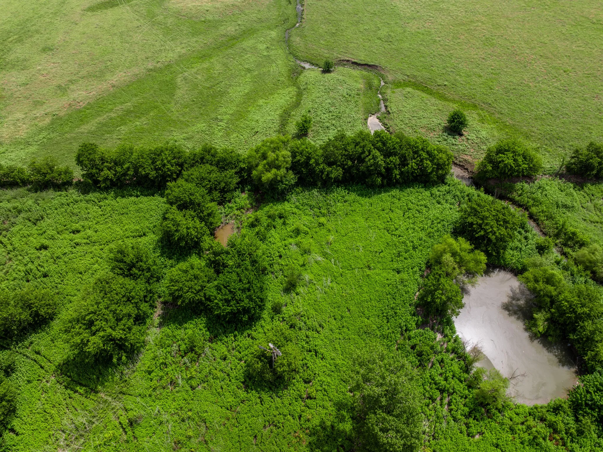 Expansive green landscape featuring varied terrain with a natural water channel, dense tree lines, and a distinct pond