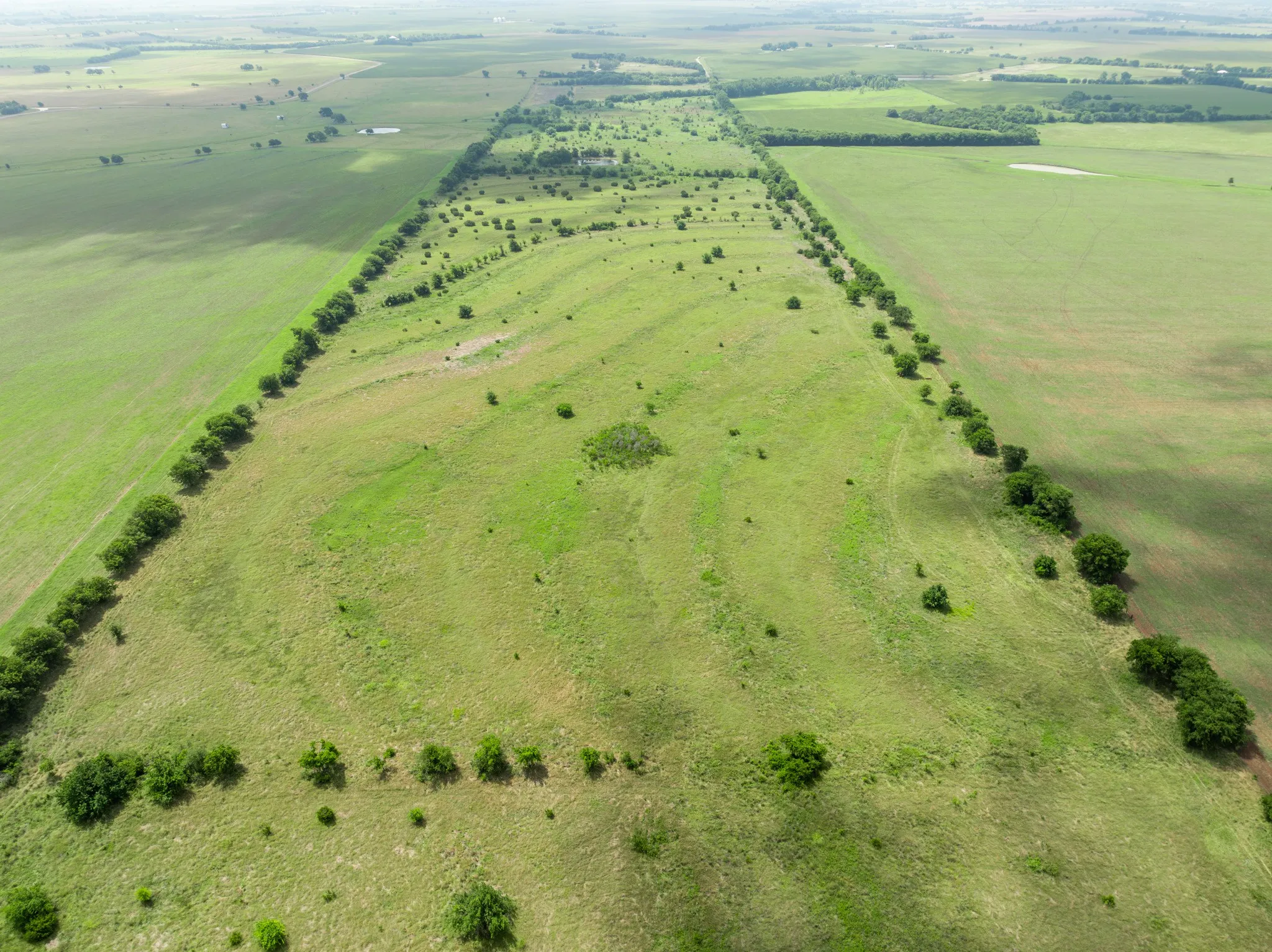 Expansive green acreage featuring scattered trees and established tree lines defining boundaries