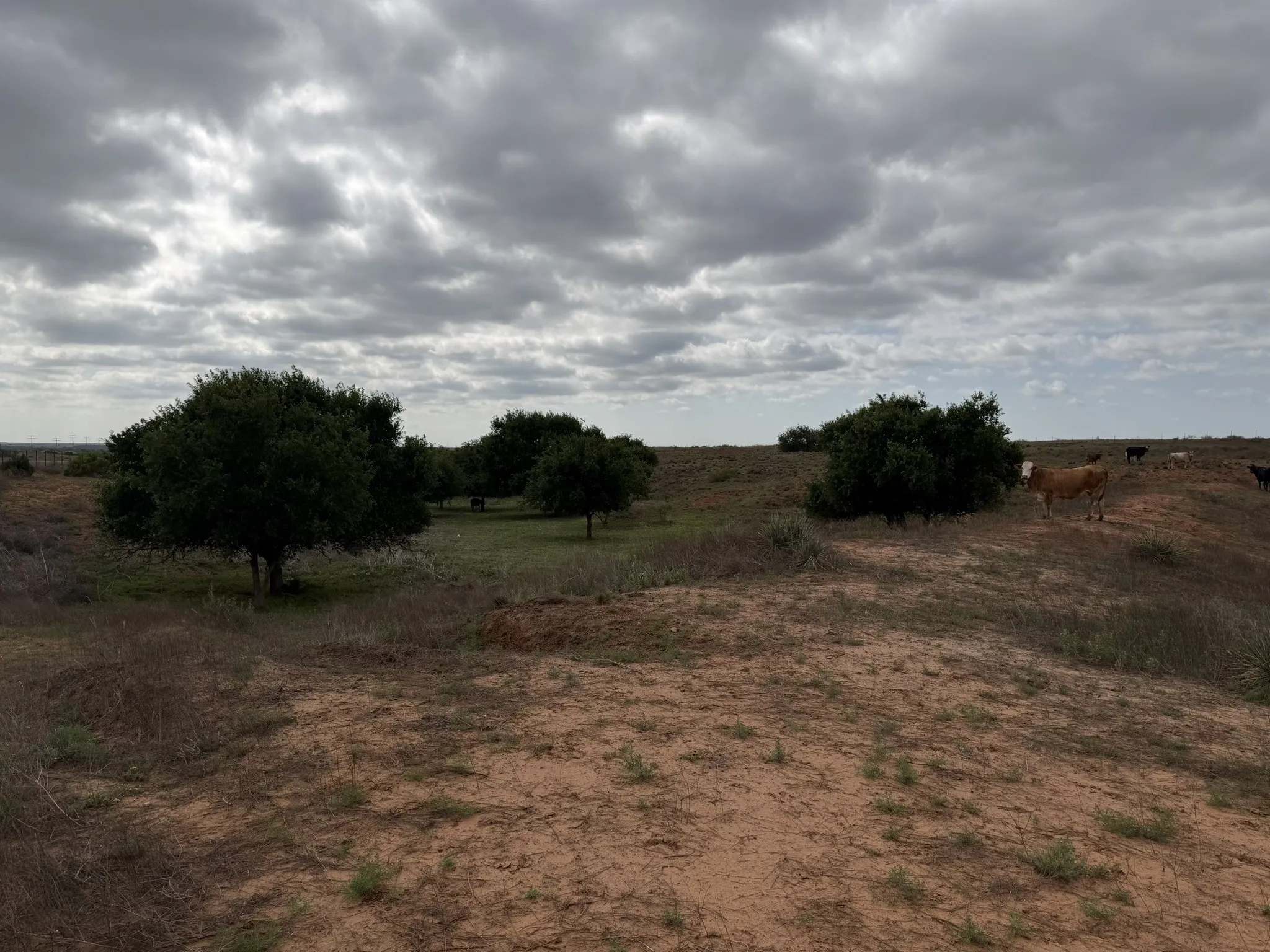 Ranch For Sale in Childress County , 15450 Farm to Market 2103, Childress, Texas 79201, 0, 0, Garage spaces, 0 Sqft, built in 0, Price $2,000,000, mls#21308762, Real Estate Agent in Childress, Homes For Sale in Childress county, Homes For Sale in Childress, Realtor in Childress Texas, Real Estate Brokerage Independent Realty Texas, Luminita Cordes Realtor