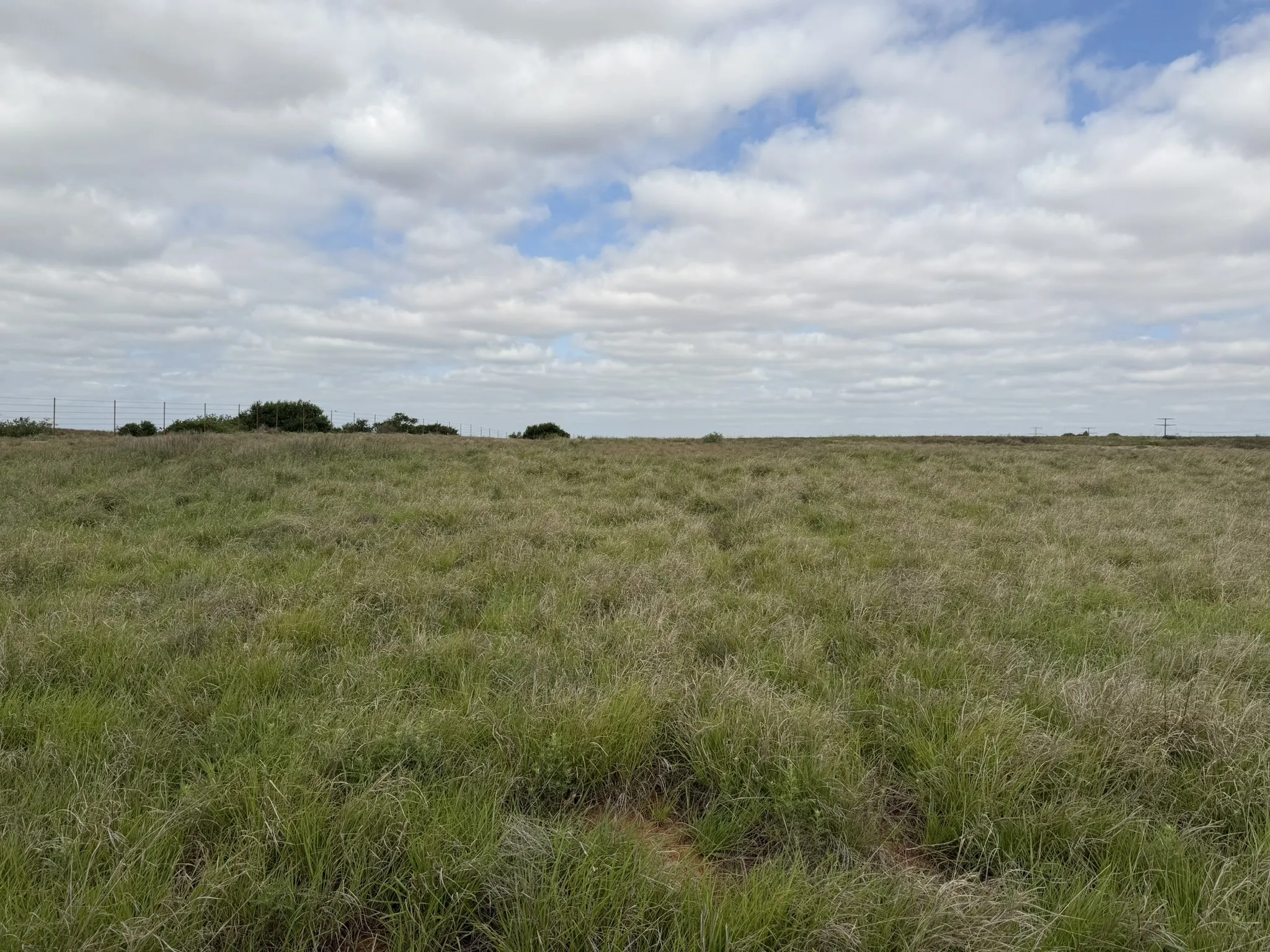 Ranch For Sale in Childress County , 15450 Farm to Market 2103, Childress, Texas 79201, 0, 0, Garage spaces, 0 Sqft, built in 0, Price $2,000,000, mls#21308762, Real Estate Agent in Childress, Homes For Sale in Childress county, Homes For Sale in Childress, Realtor in Childress Texas, Real Estate Brokerage Independent Realty Texas, Luminita Cordes Realtor