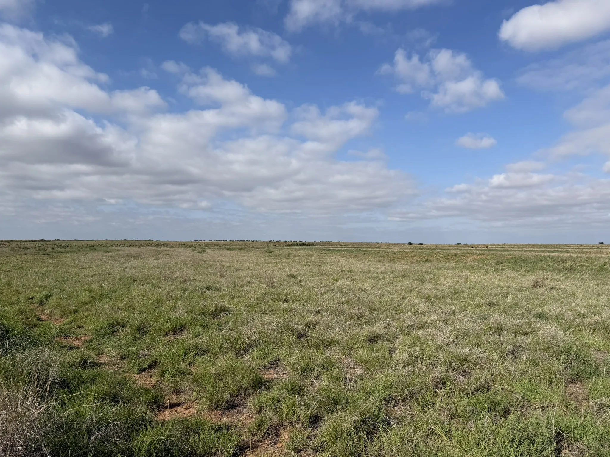 Ranch For Sale in Childress County , 15450 Farm to Market 2103, Childress, Texas 79201, 0, 0, Garage spaces, 0 Sqft, built in 0, Price $2,000,000, mls#21308762, Real Estate Agent in Childress, Homes For Sale in Childress county, Homes For Sale in Childress, Realtor in Childress Texas, Real Estate Brokerage Independent Realty Texas, Luminita Cordes Realtor