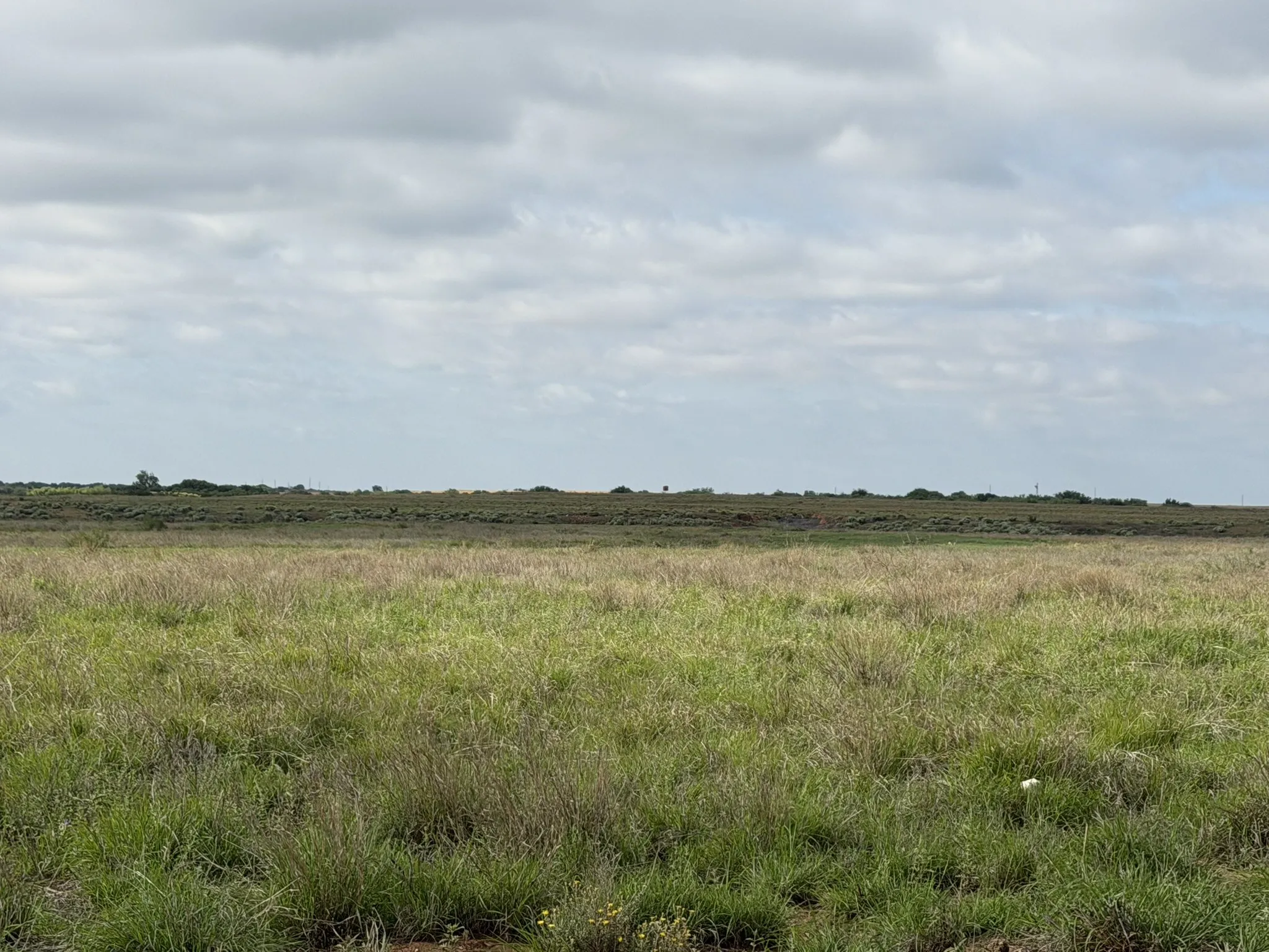 Ranch For Sale in Childress County , 15450 Farm to Market 2103, Childress, Texas 79201, 0, 0, Garage spaces, 0 Sqft, built in 0, Price $2,000,000, mls#21308762, Real Estate Agent in Childress, Homes For Sale in Childress county, Homes For Sale in Childress, Realtor in Childress Texas, Real Estate Brokerage Independent Realty Texas, Luminita Cordes Realtor