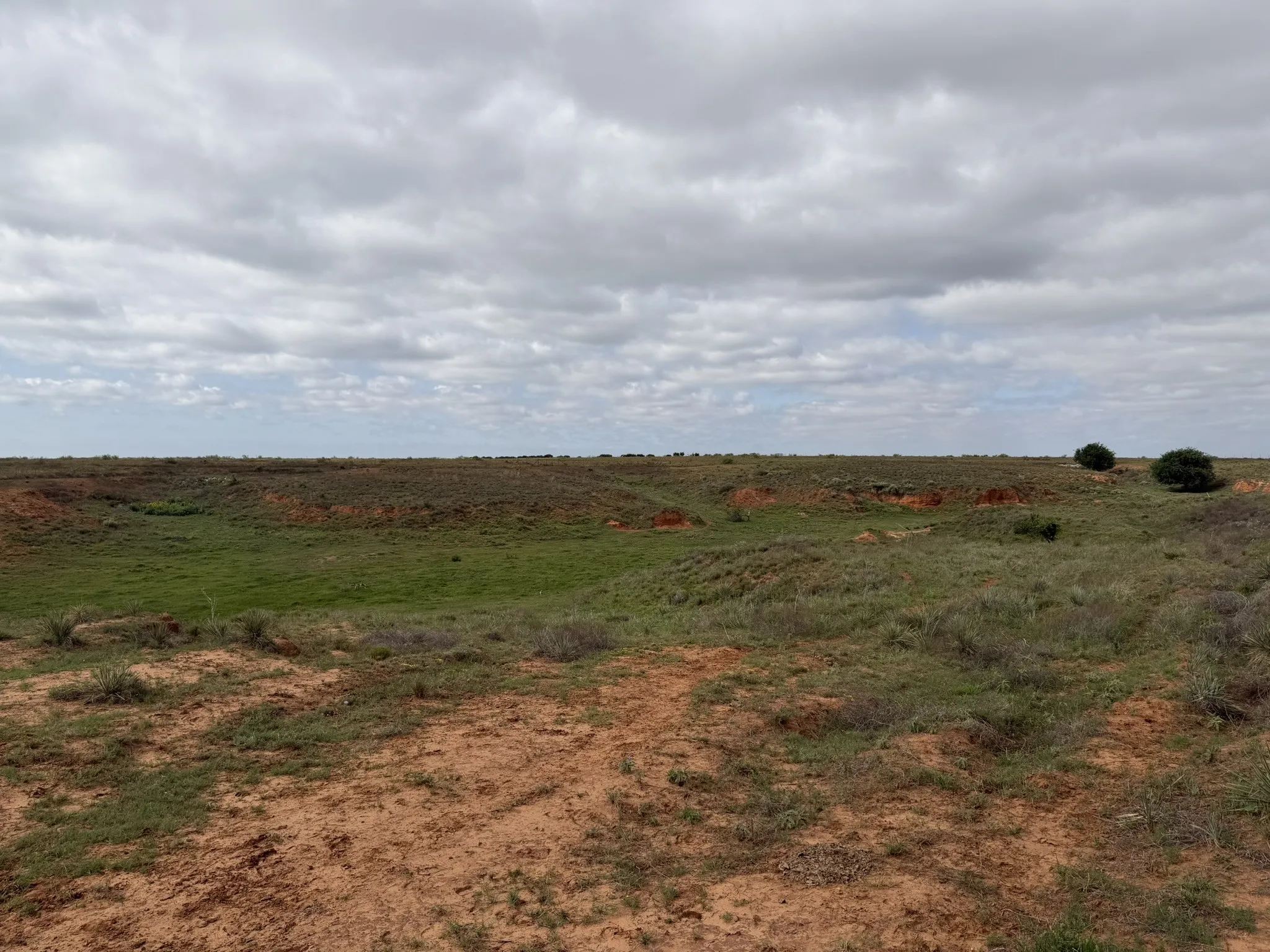Ranch For Sale in Childress County , 15450 Farm to Market 2103, Childress, Texas 79201, 0, 0, Garage spaces, 0 Sqft, built in 0, Price $2,000,000, mls#21308762, Real Estate Agent in Childress, Homes For Sale in Childress county, Homes For Sale in Childress, Realtor in Childress Texas, Real Estate Brokerage Independent Realty Texas, Luminita Cordes Realtor