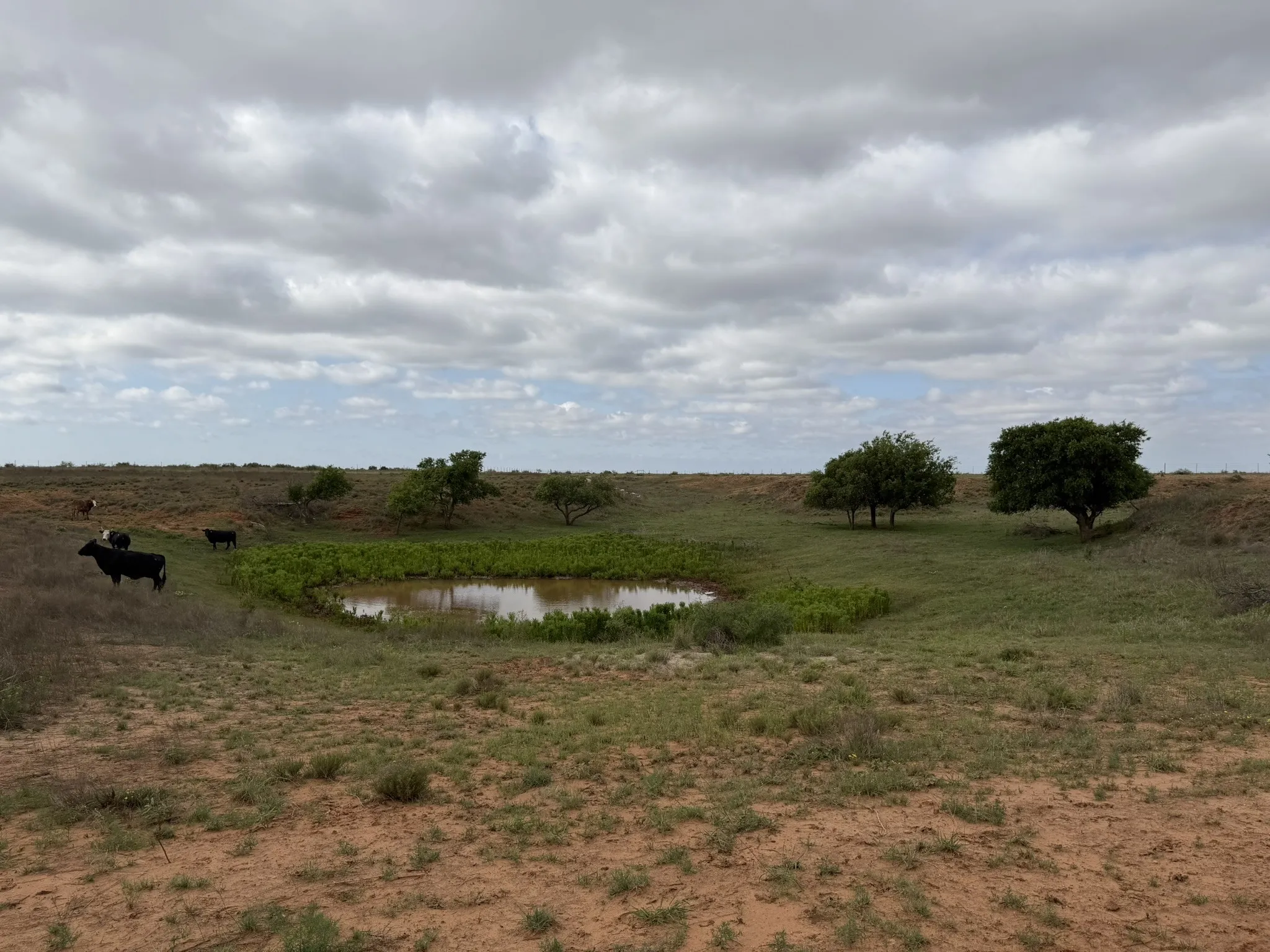 Ranch For Sale in Childress County , 15450 Farm to Market 2103, Childress, Texas 79201, 0, 0, Garage spaces, 0 Sqft, built in 0, Price $2,000,000, mls#21308762, Real Estate Agent in Childress, Homes For Sale in Childress county, Homes For Sale in Childress, Realtor in Childress Texas, Real Estate Brokerage Independent Realty Texas, Luminita Cordes Realtor